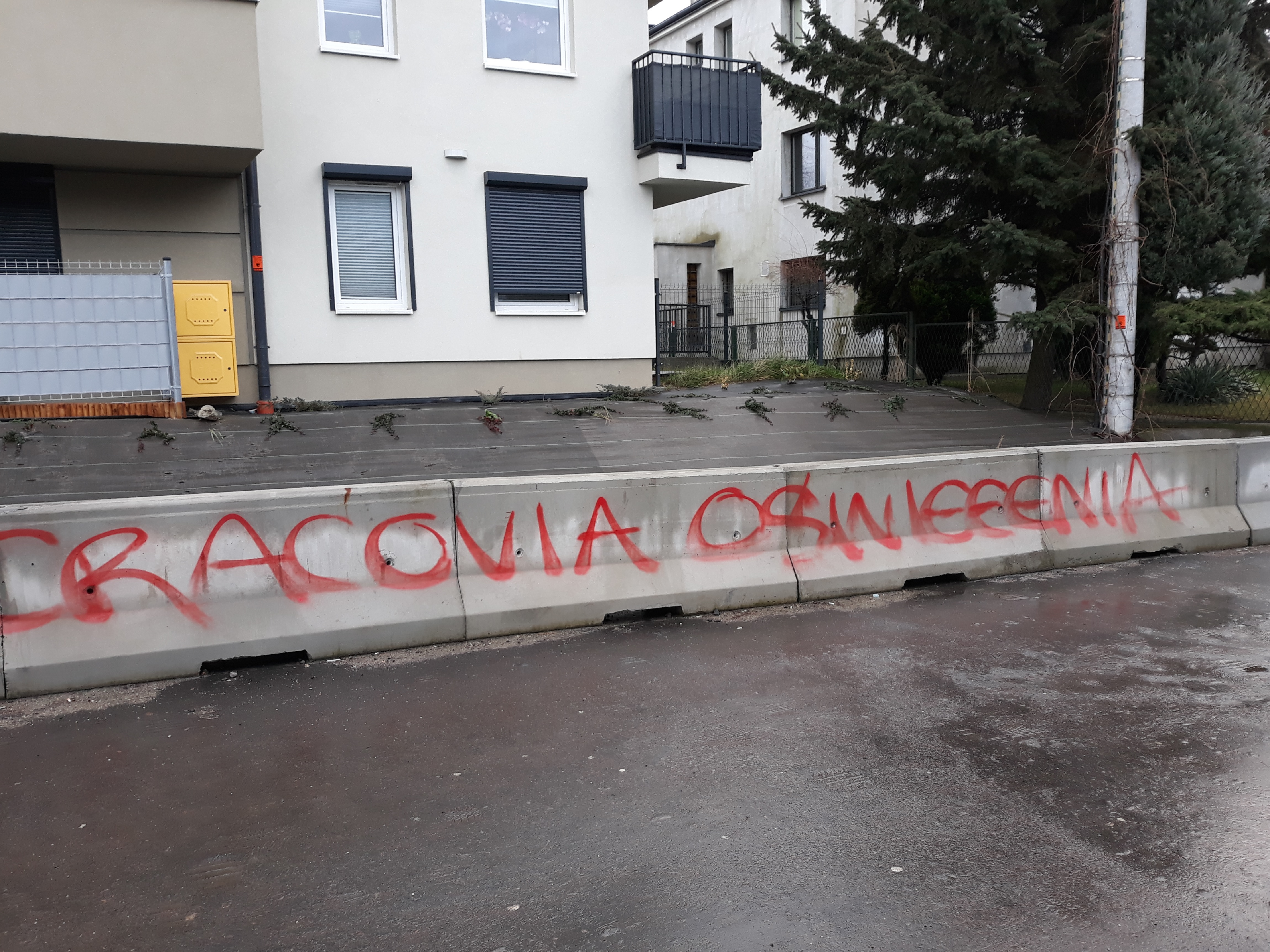 Zdjęcie przed zamalowaniem