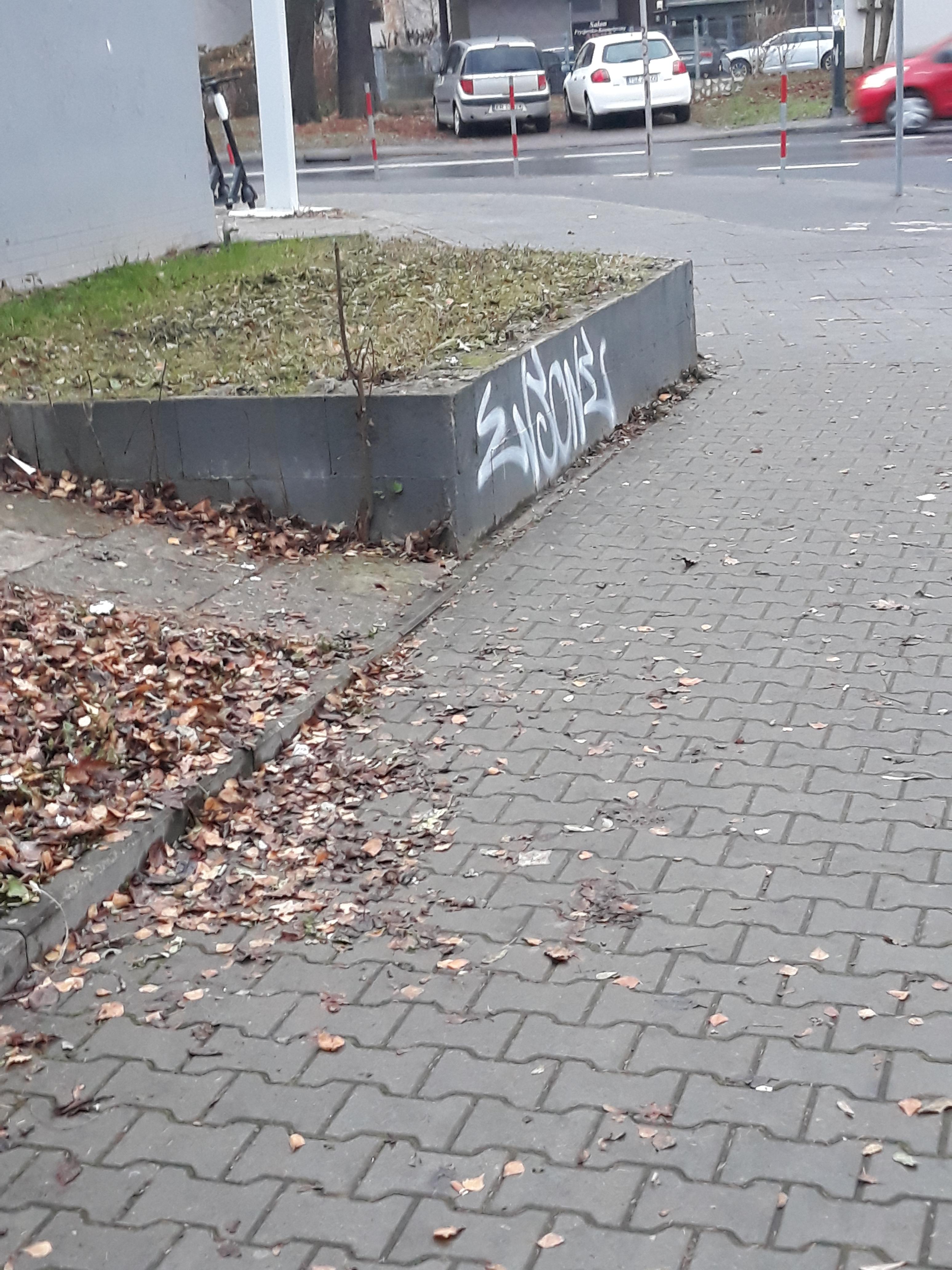 Zdjęcie przed zamalowaniem