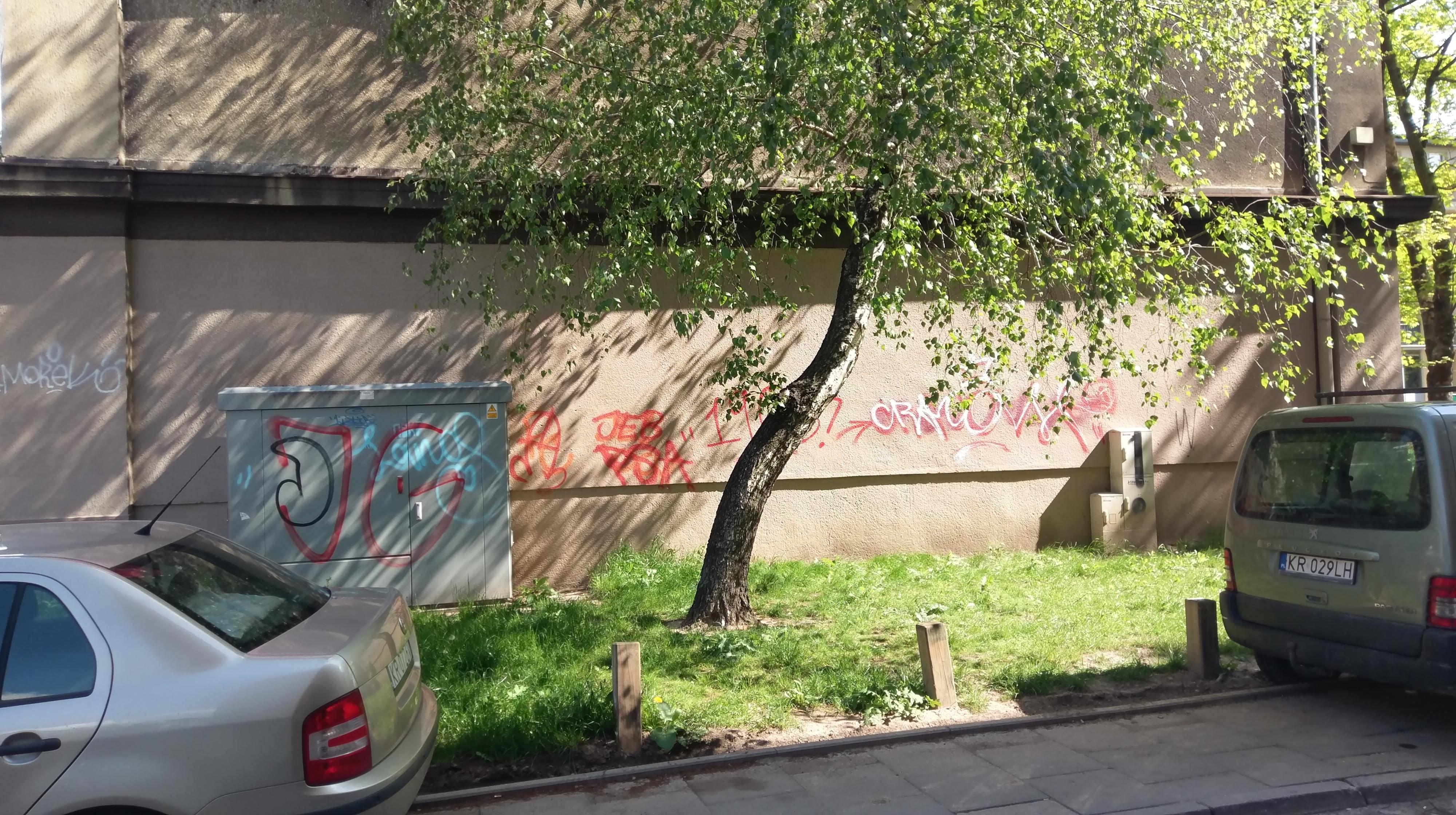 Zdjęcie przed zamalowaniem