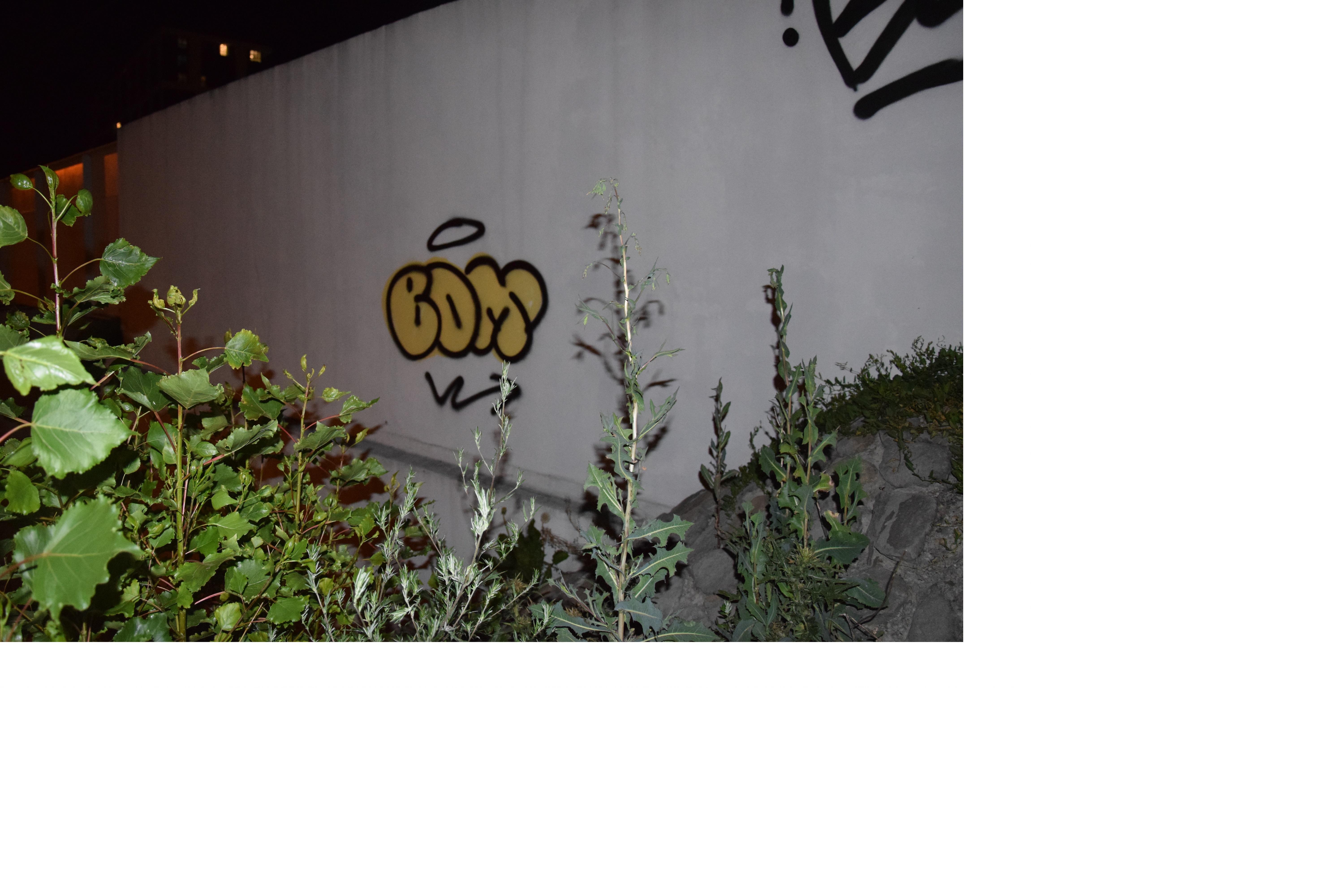 Zdjęcie przed zamalowaniem