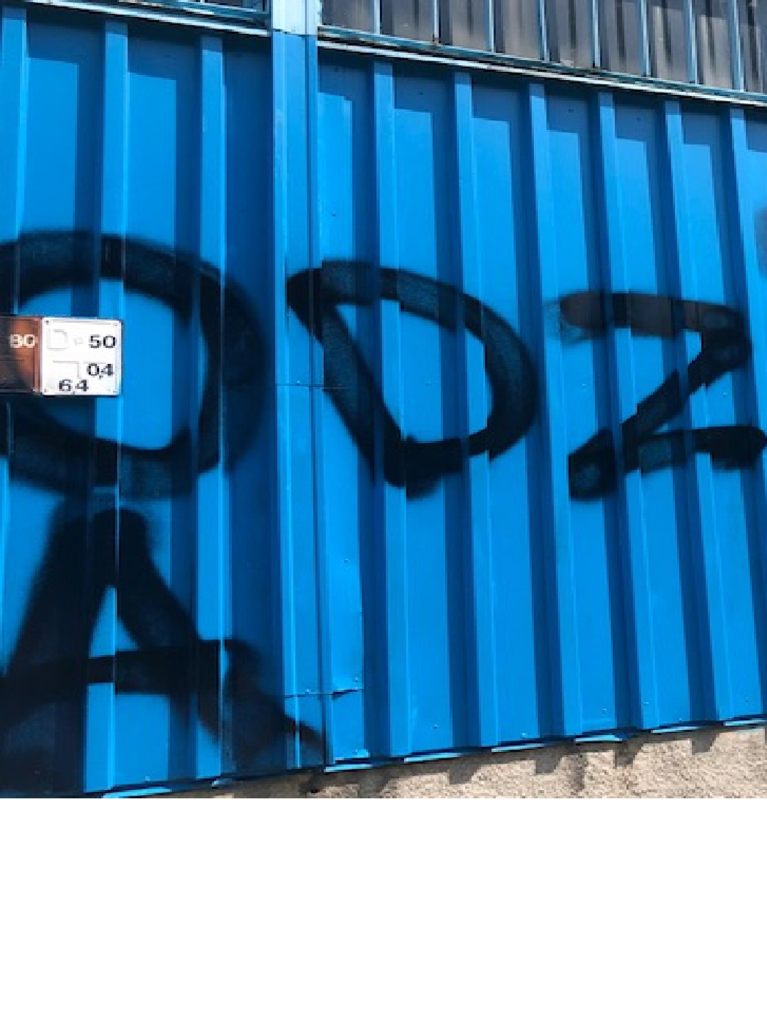 Zdjęcie przed zamalowaniem