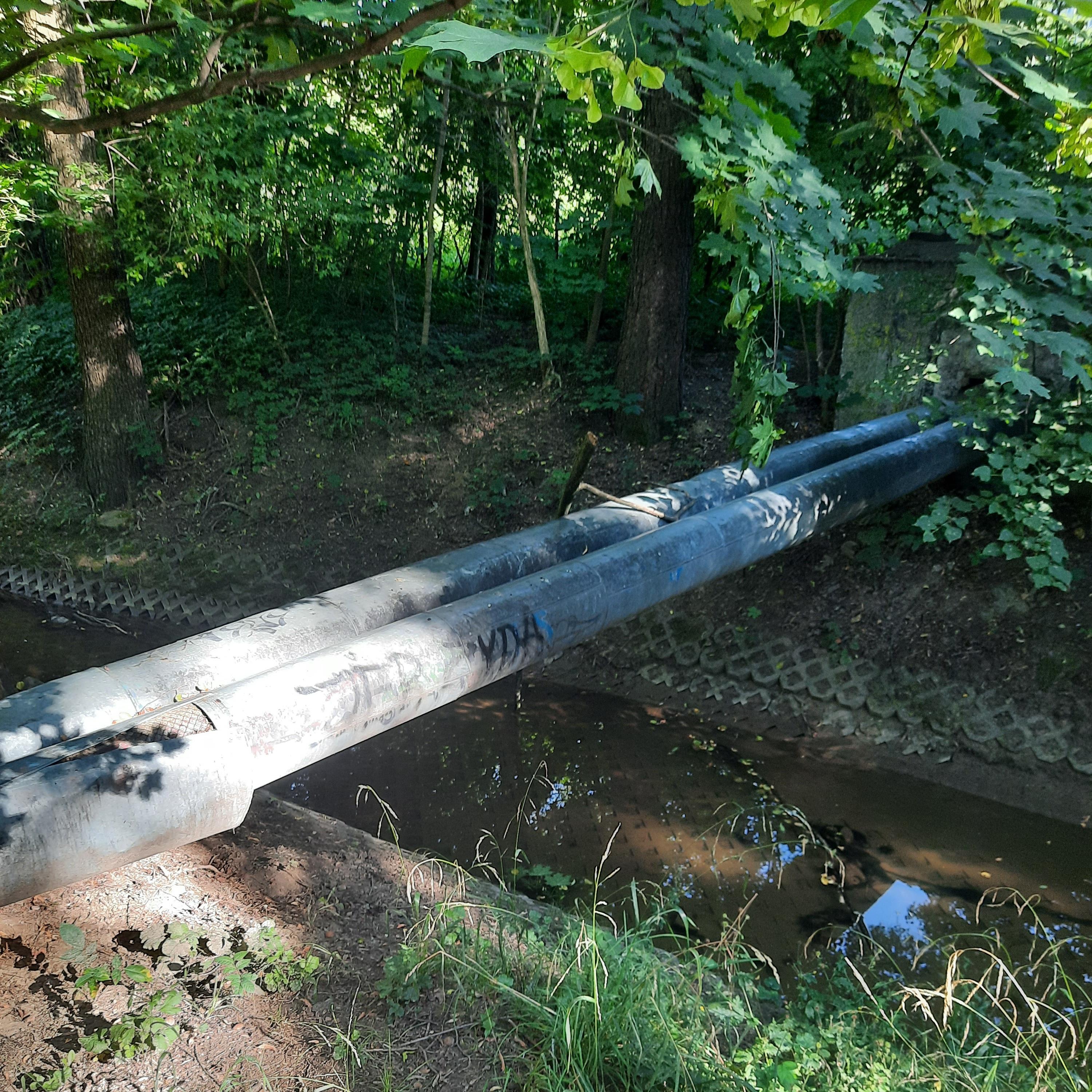 Zdjęcie przed zamalowaniem