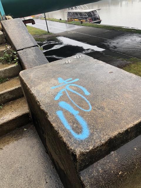 Zdjęcie przed zamalowaniem