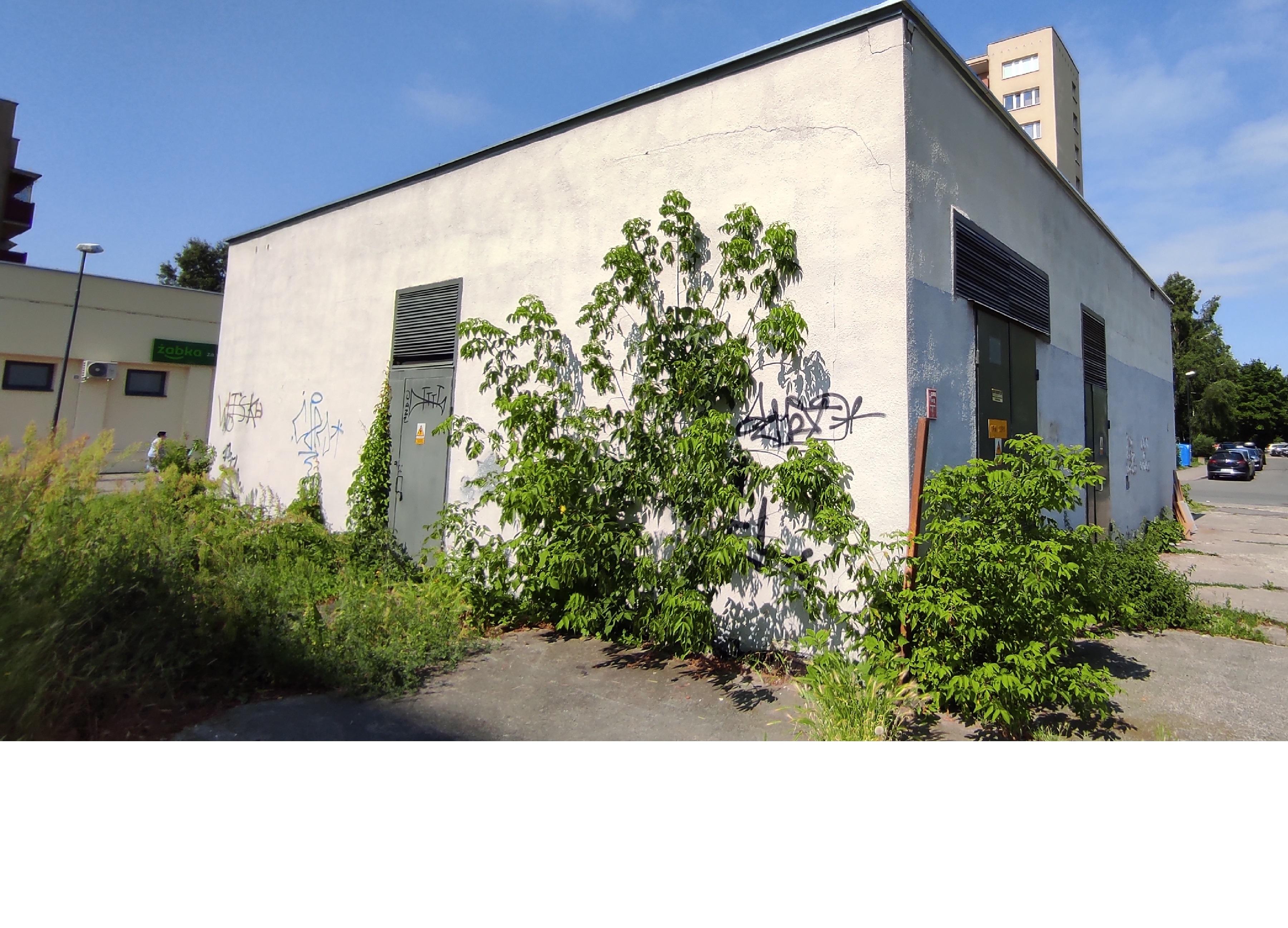 Zdjęcie przed zamalowaniem