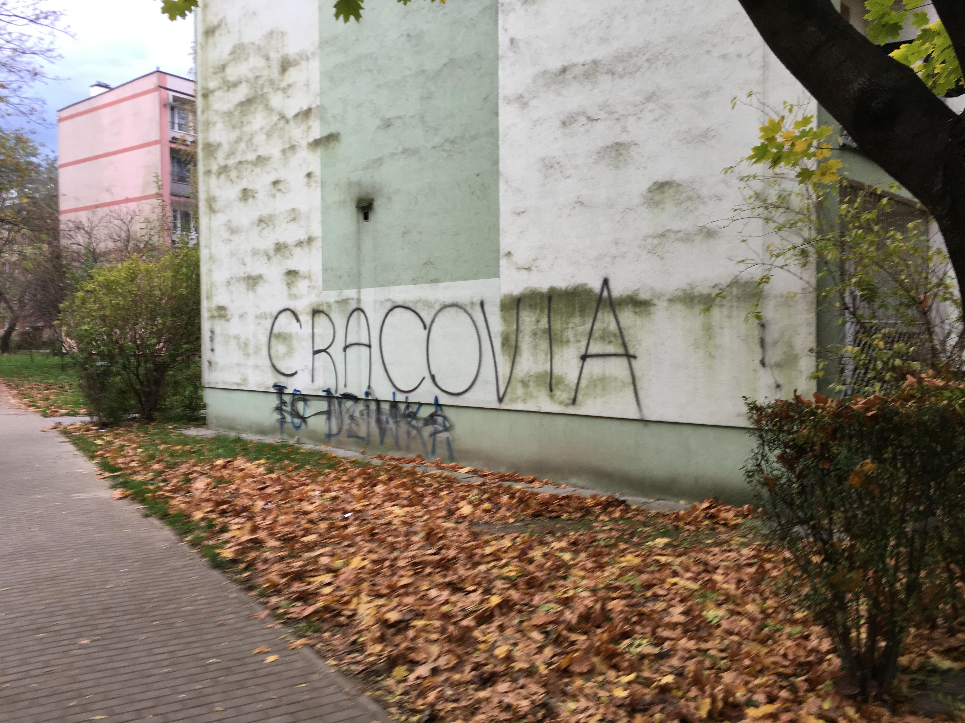 Zdjęcie przed zamalowaniem