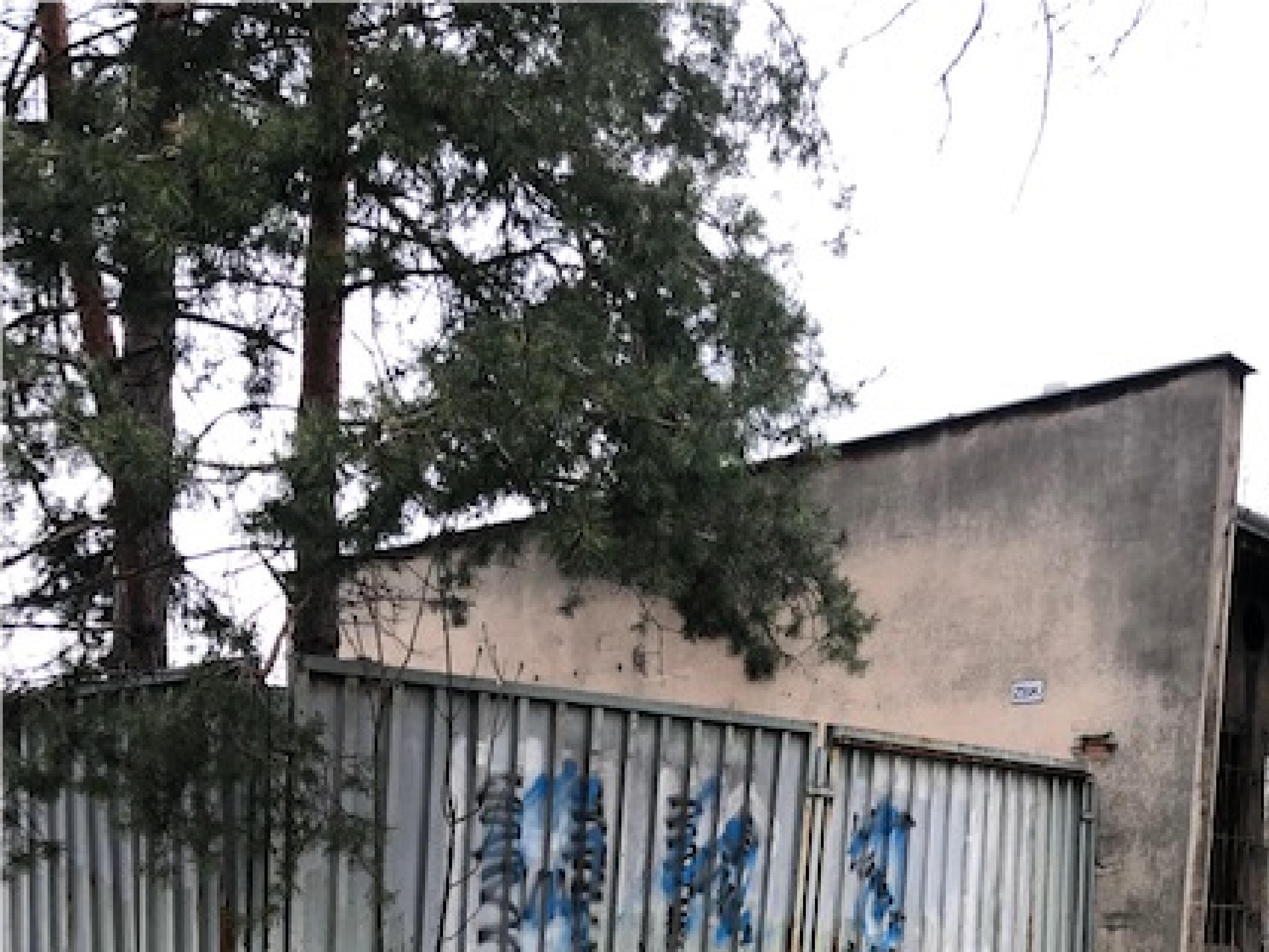 Zdjęcie przed zamalowaniem