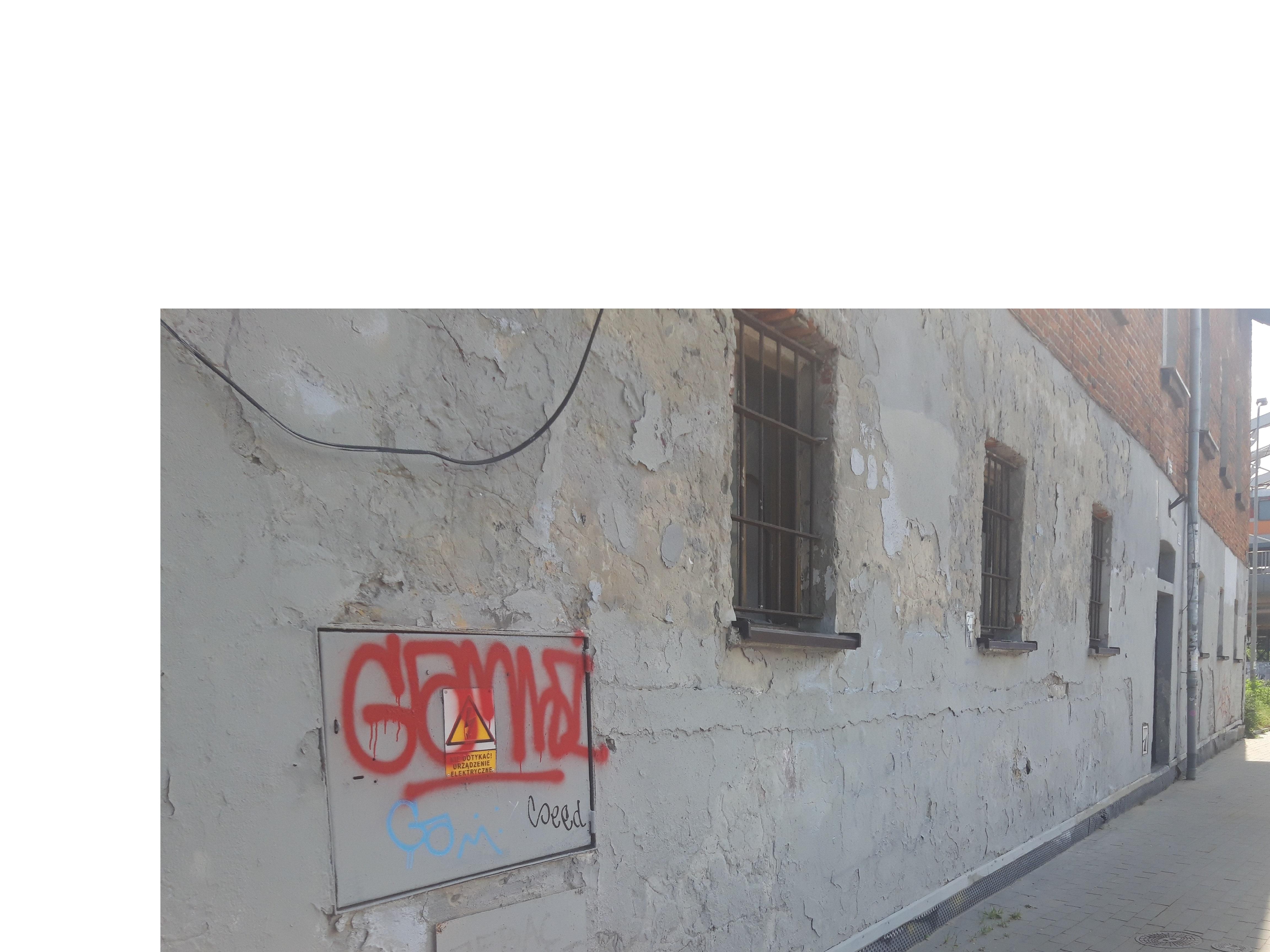 Zdjęcie przed zamalowaniem