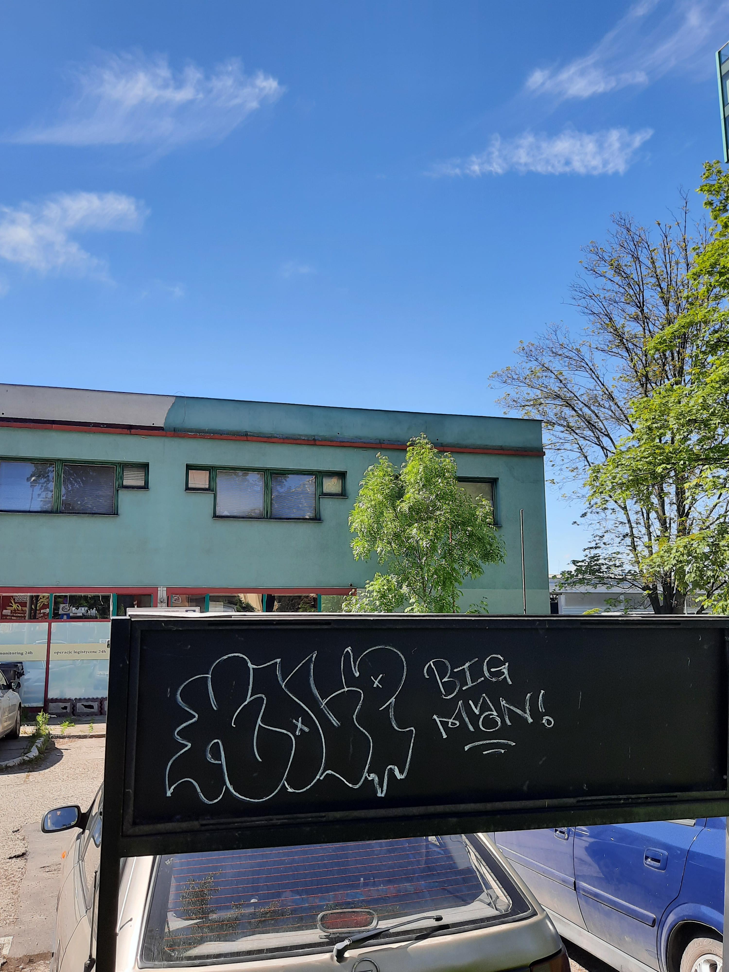 Zdjęcie przed zamalowaniem