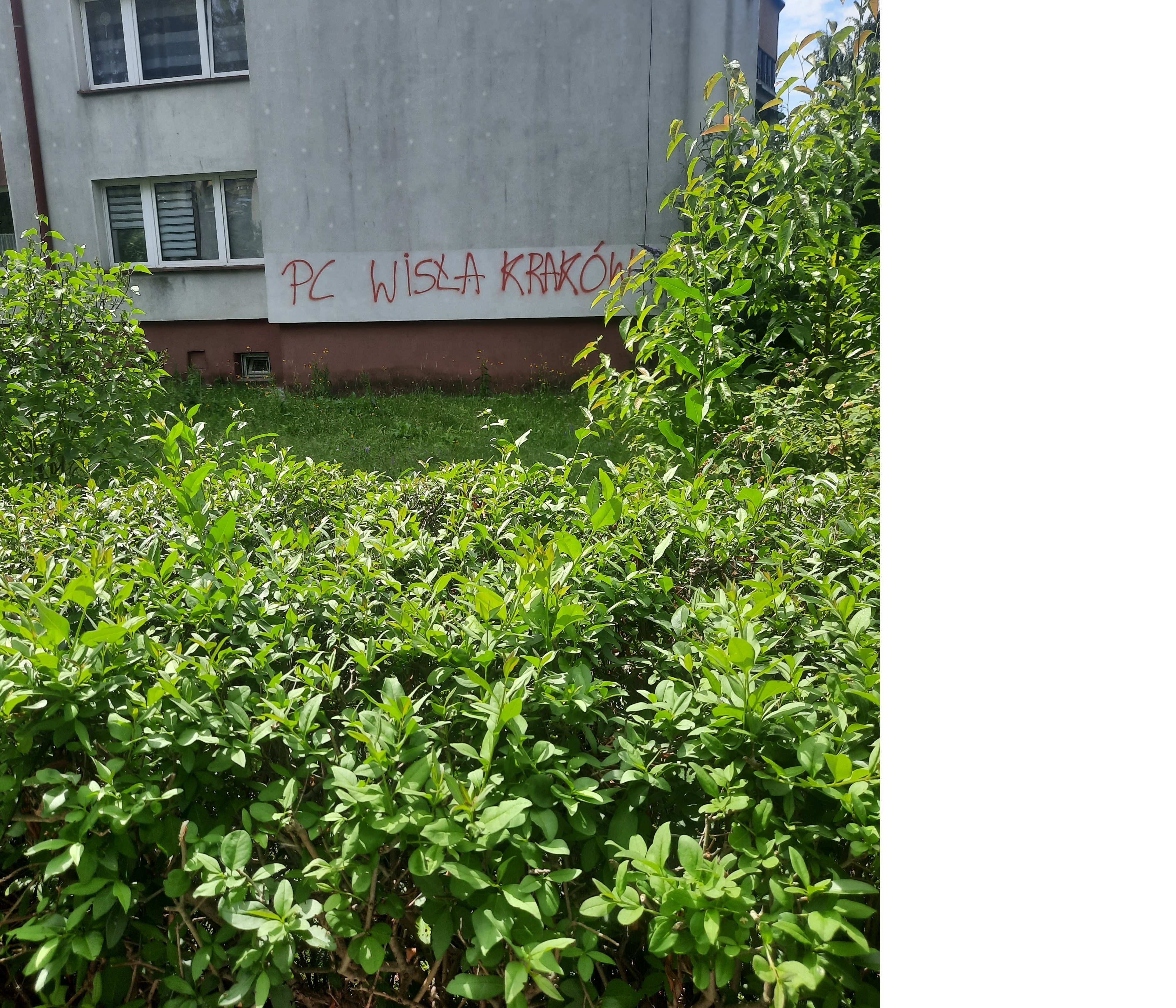 Zdjęcie przed zamalowaniem