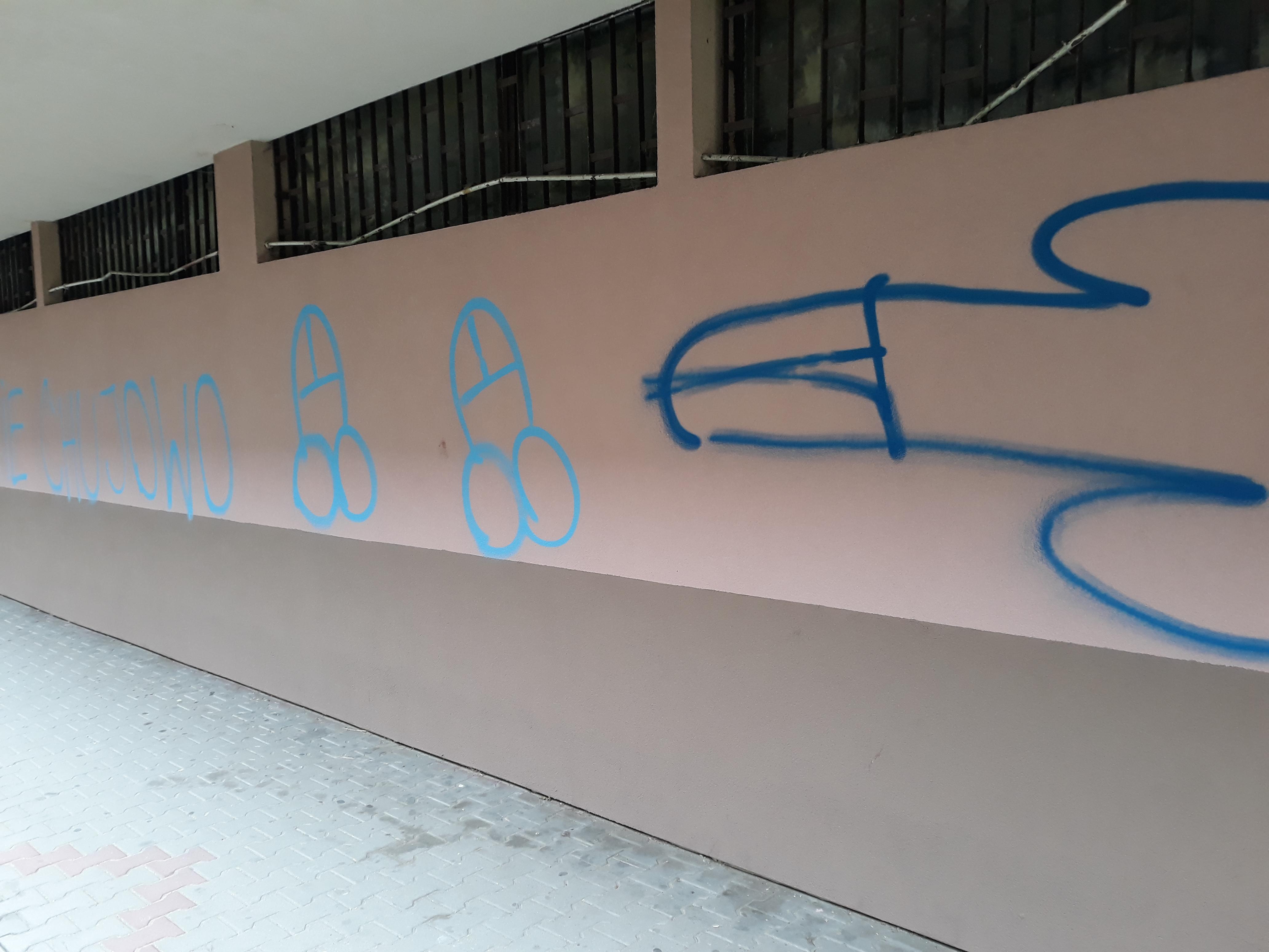 Zdjęcie przed zamalowaniem