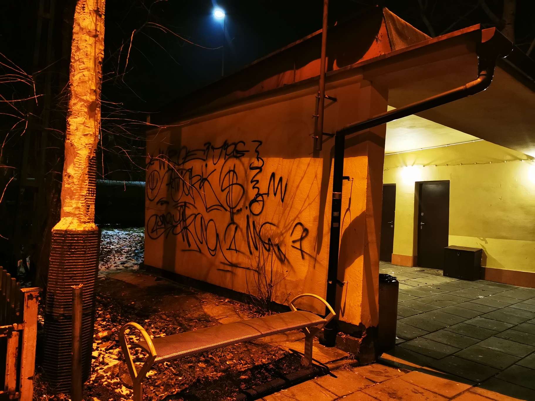 Zdjęcie przed zamalowaniem