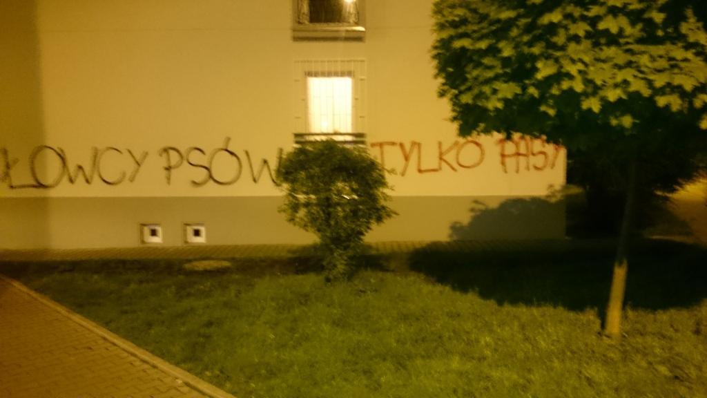 Zdjęcie przed zamalowaniem