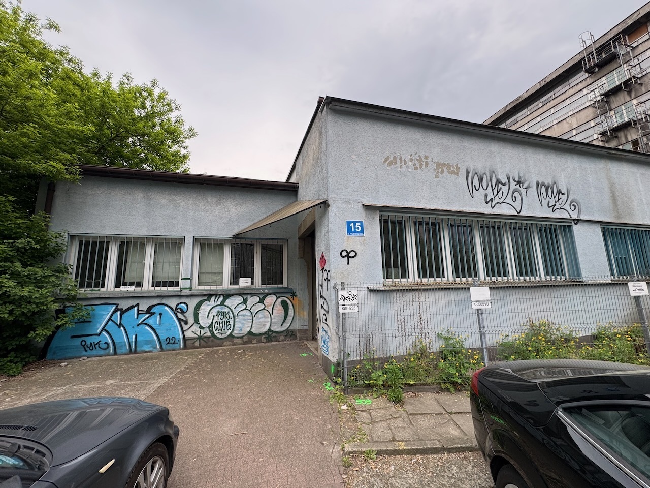 Zdjęcie przed zamalowaniem