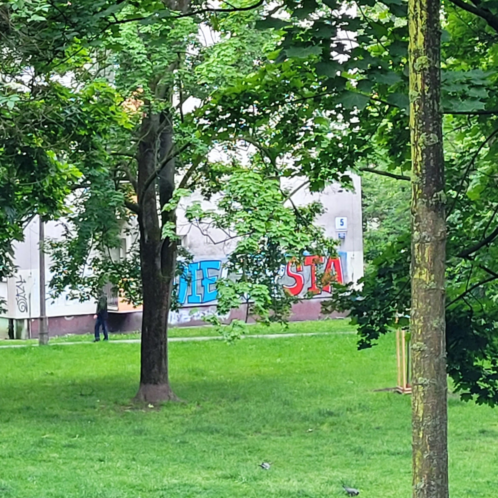 Zdjęcie przed zamalowaniem