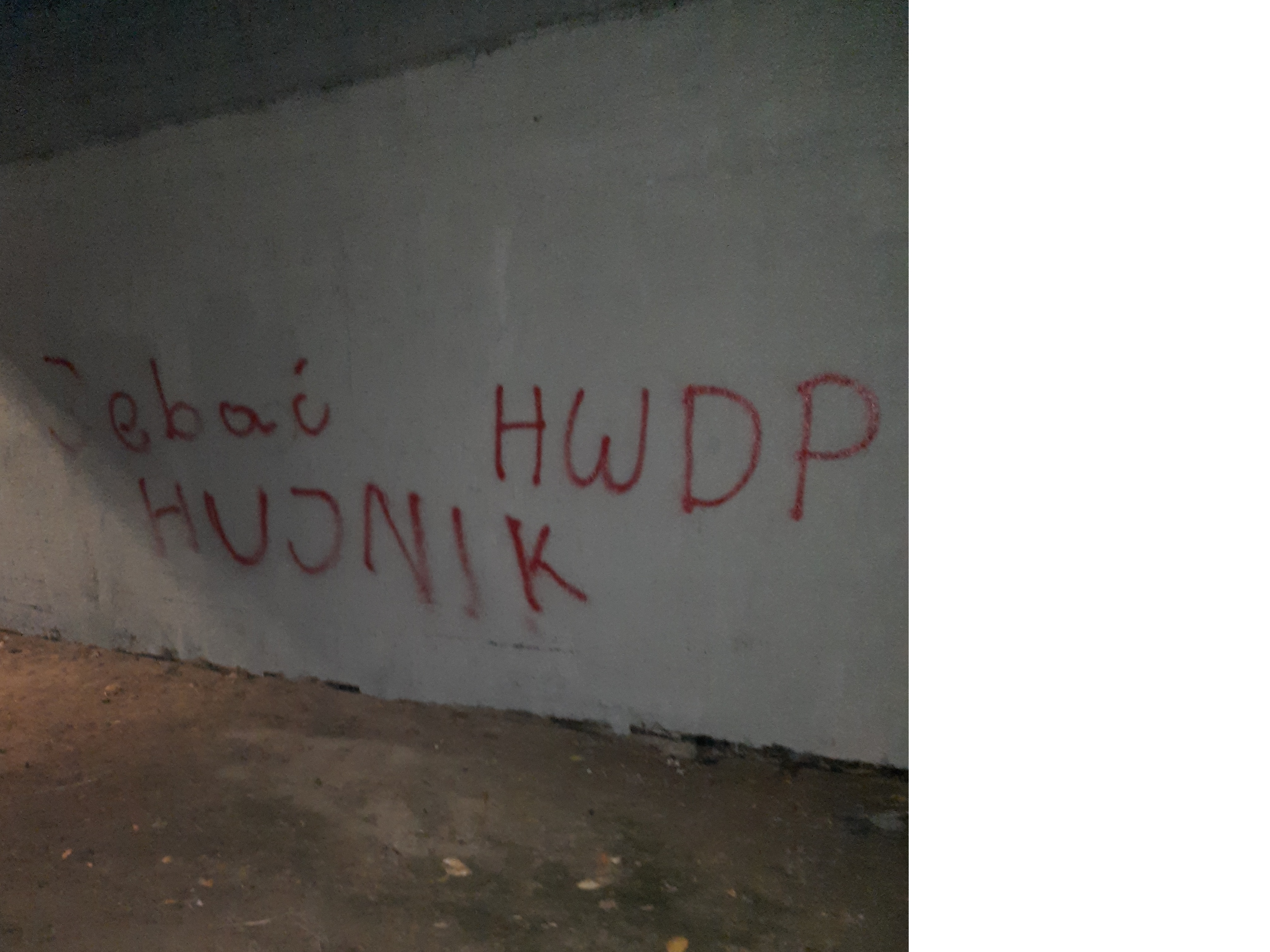 Zdjęcie przed zamalowaniem