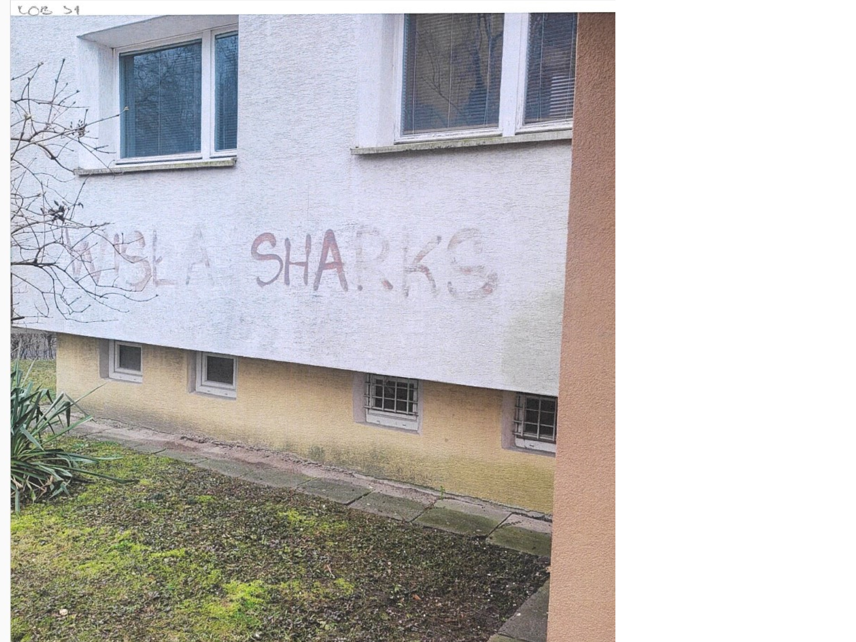 Zdjęcie przed zamalowaniem