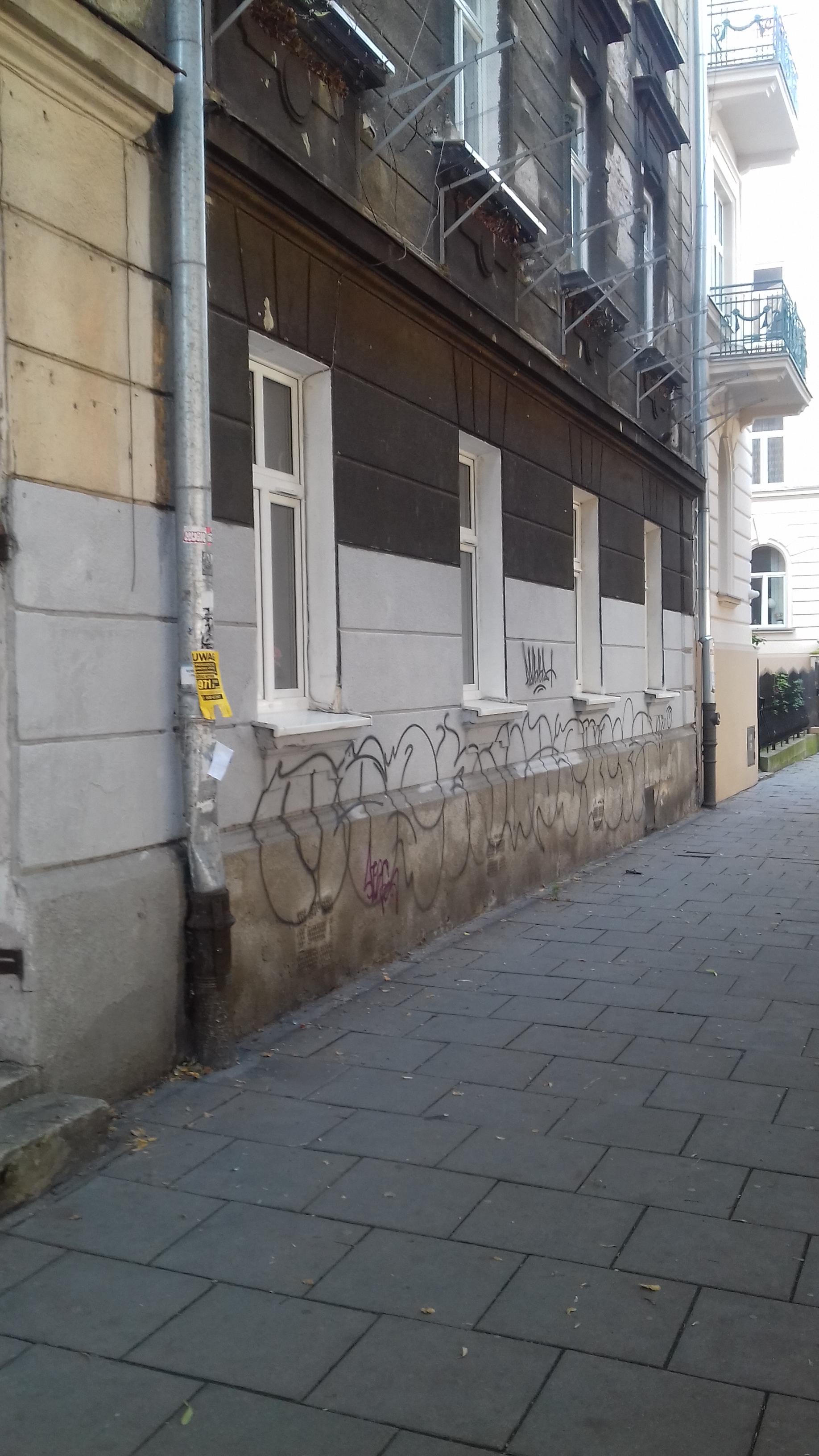 Zdjęcie przed zamalowaniem