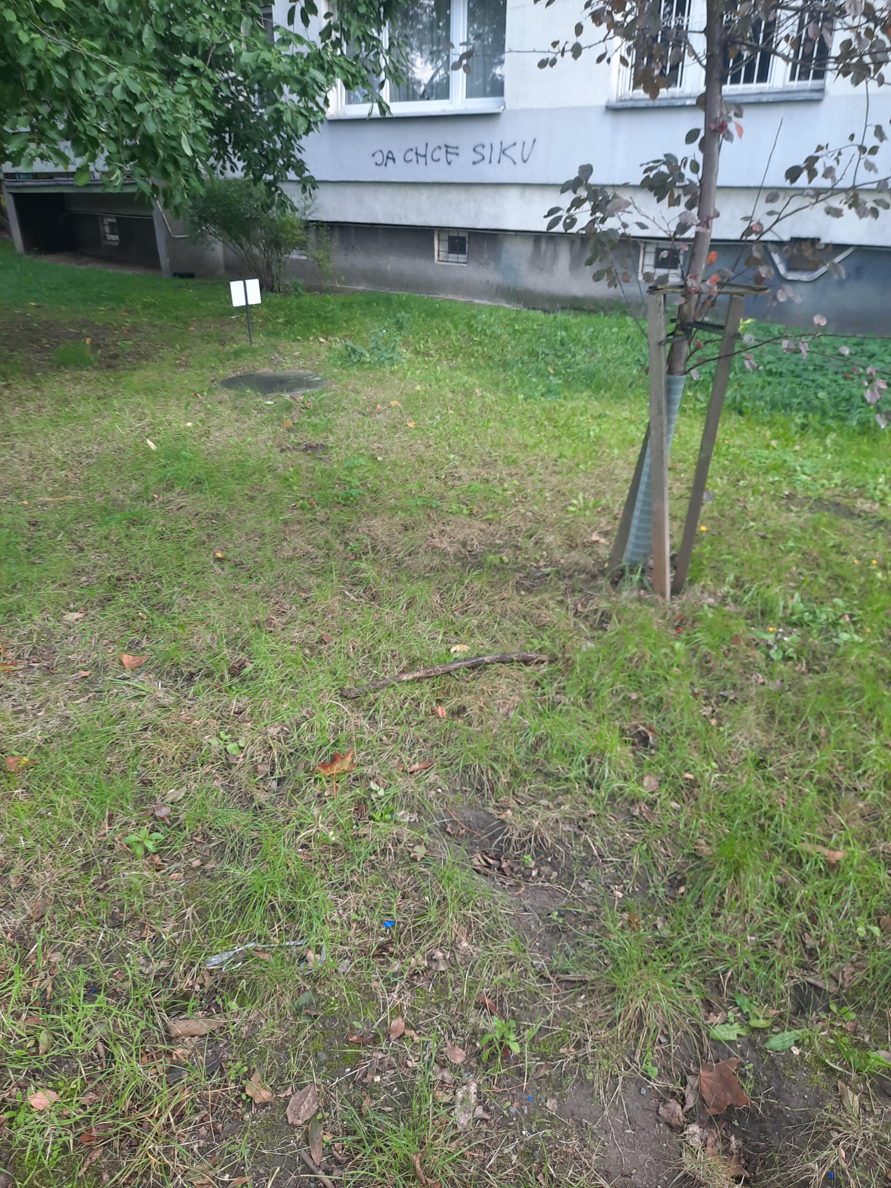 Zdjęcie przed zamalowaniem