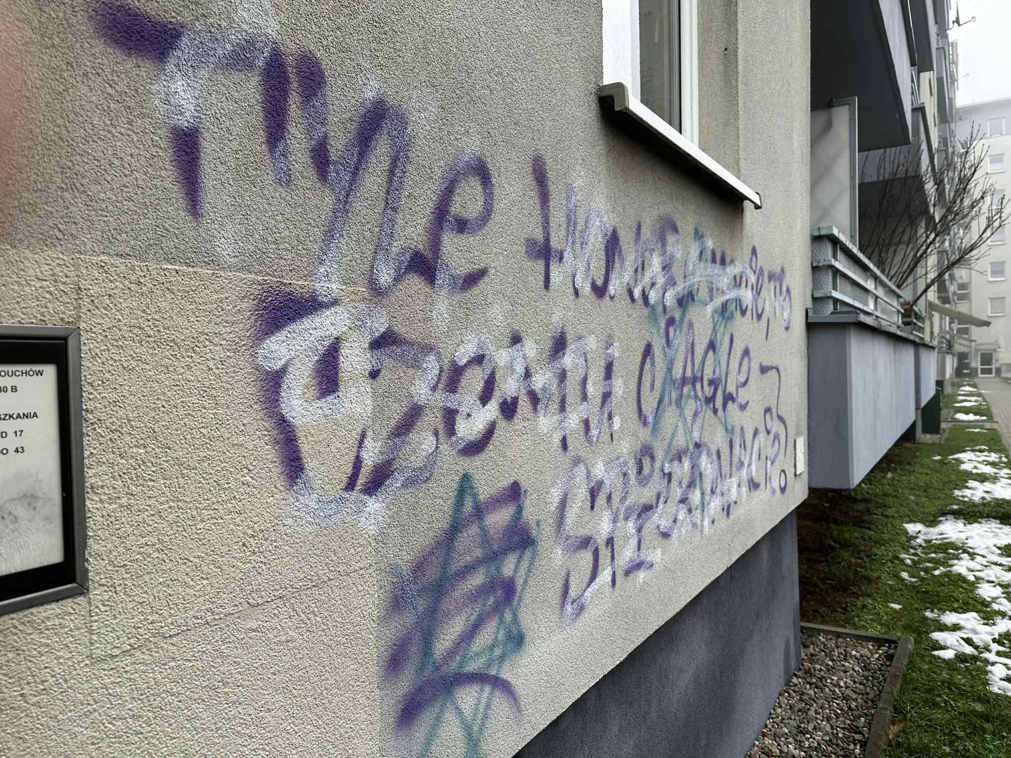 Zdjęcie przed zamalowaniem