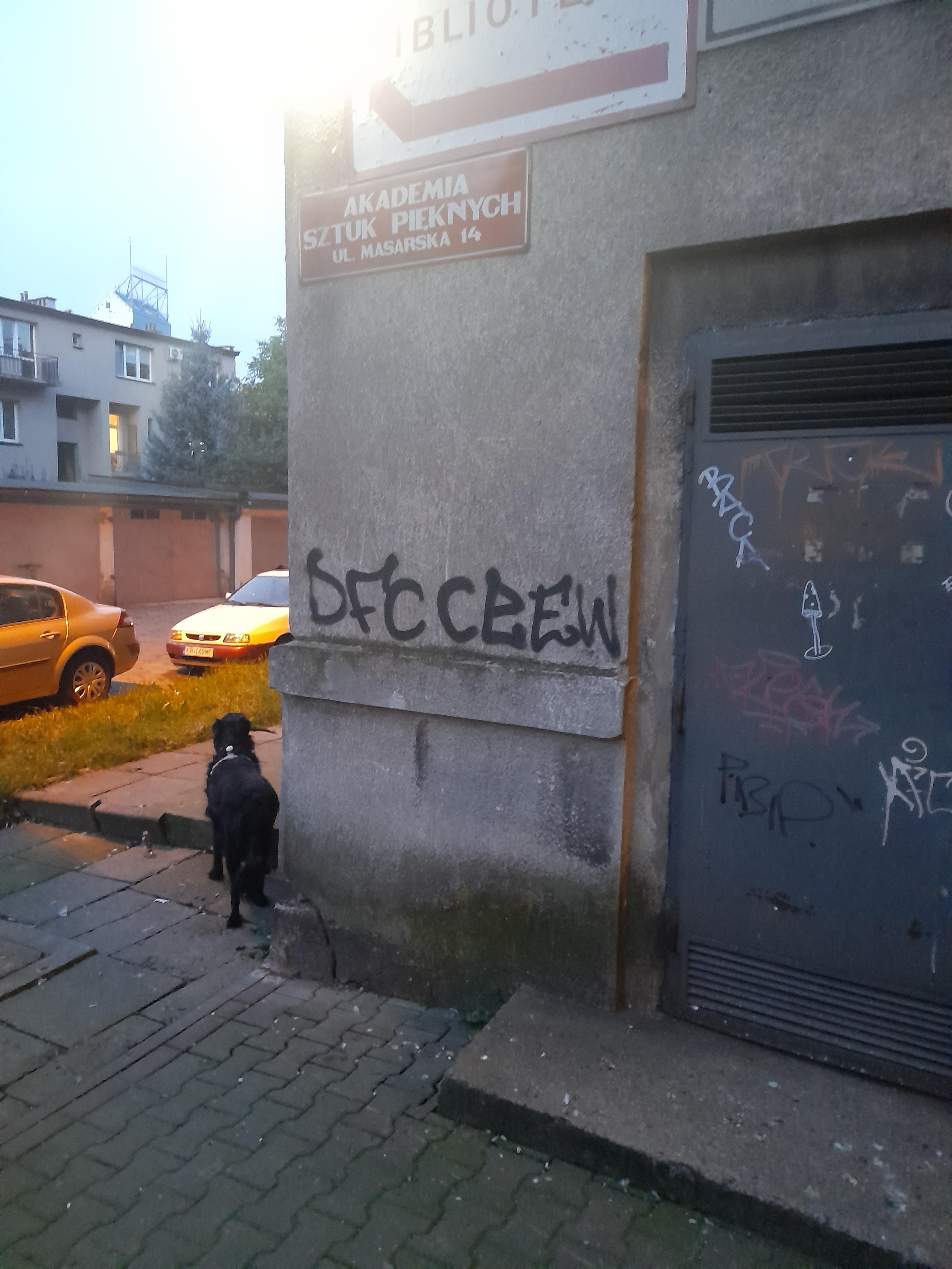 Zdjęcie przed zamalowaniem