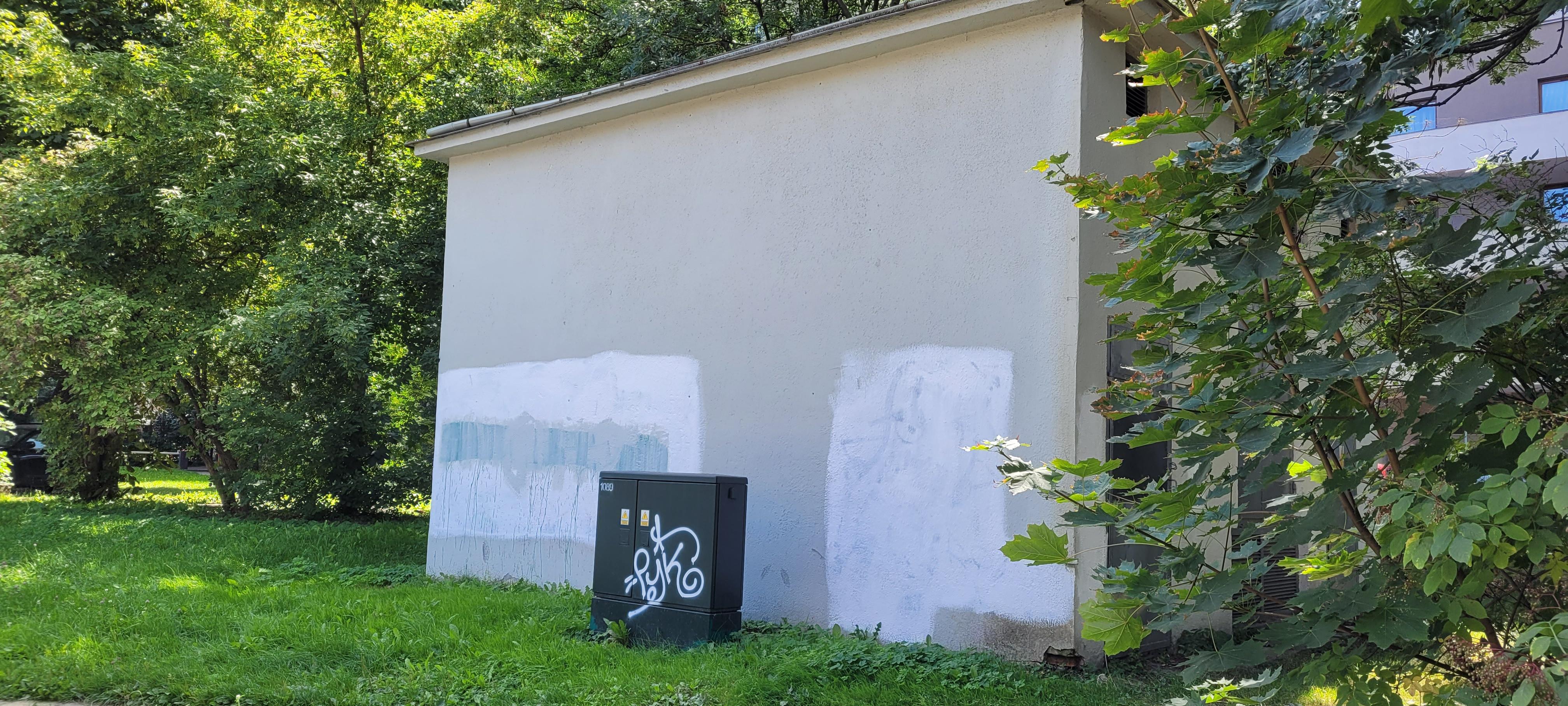 Zdjęcie przed zamalowaniem