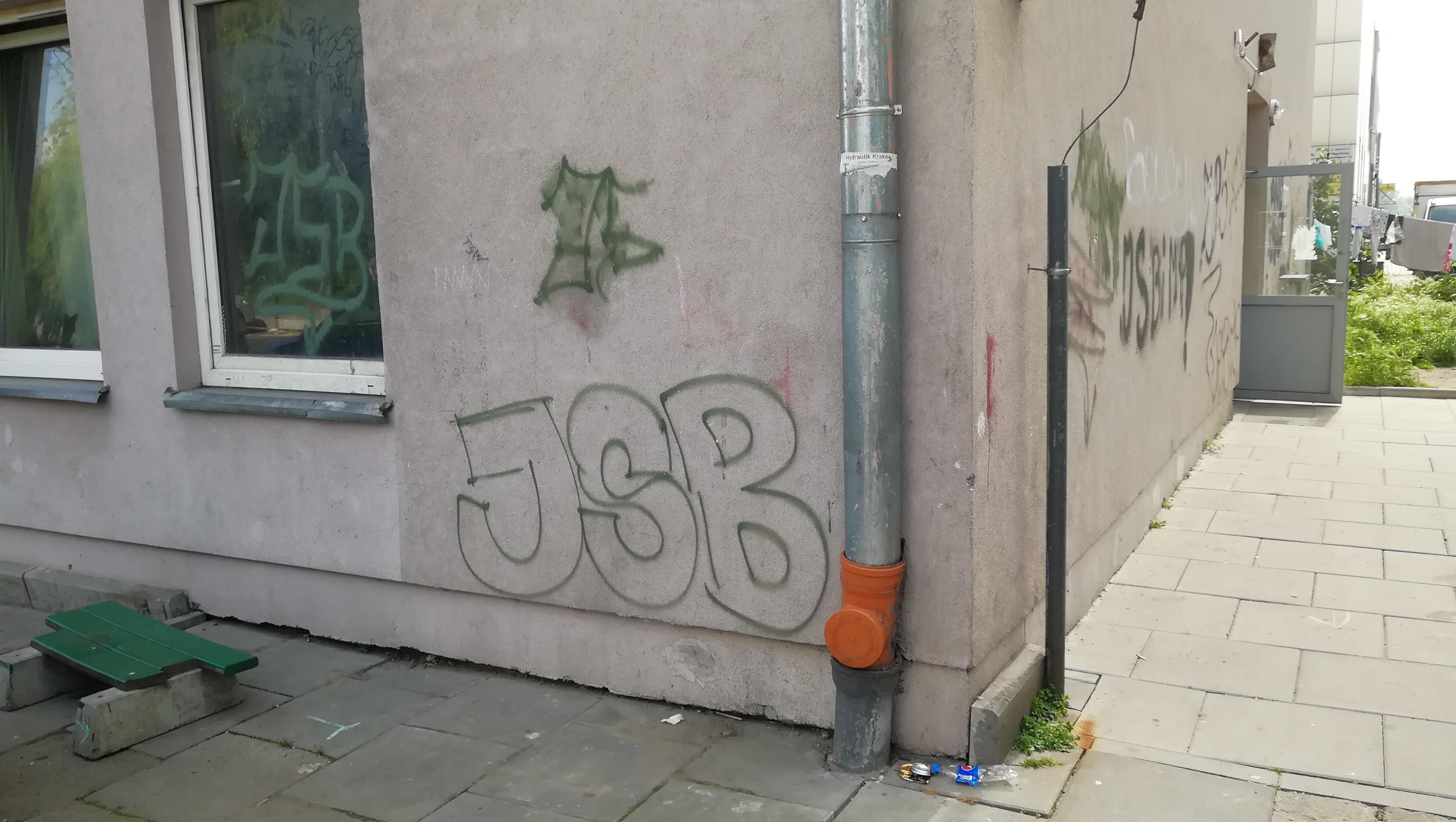 Zdjęcie przed zamalowaniem