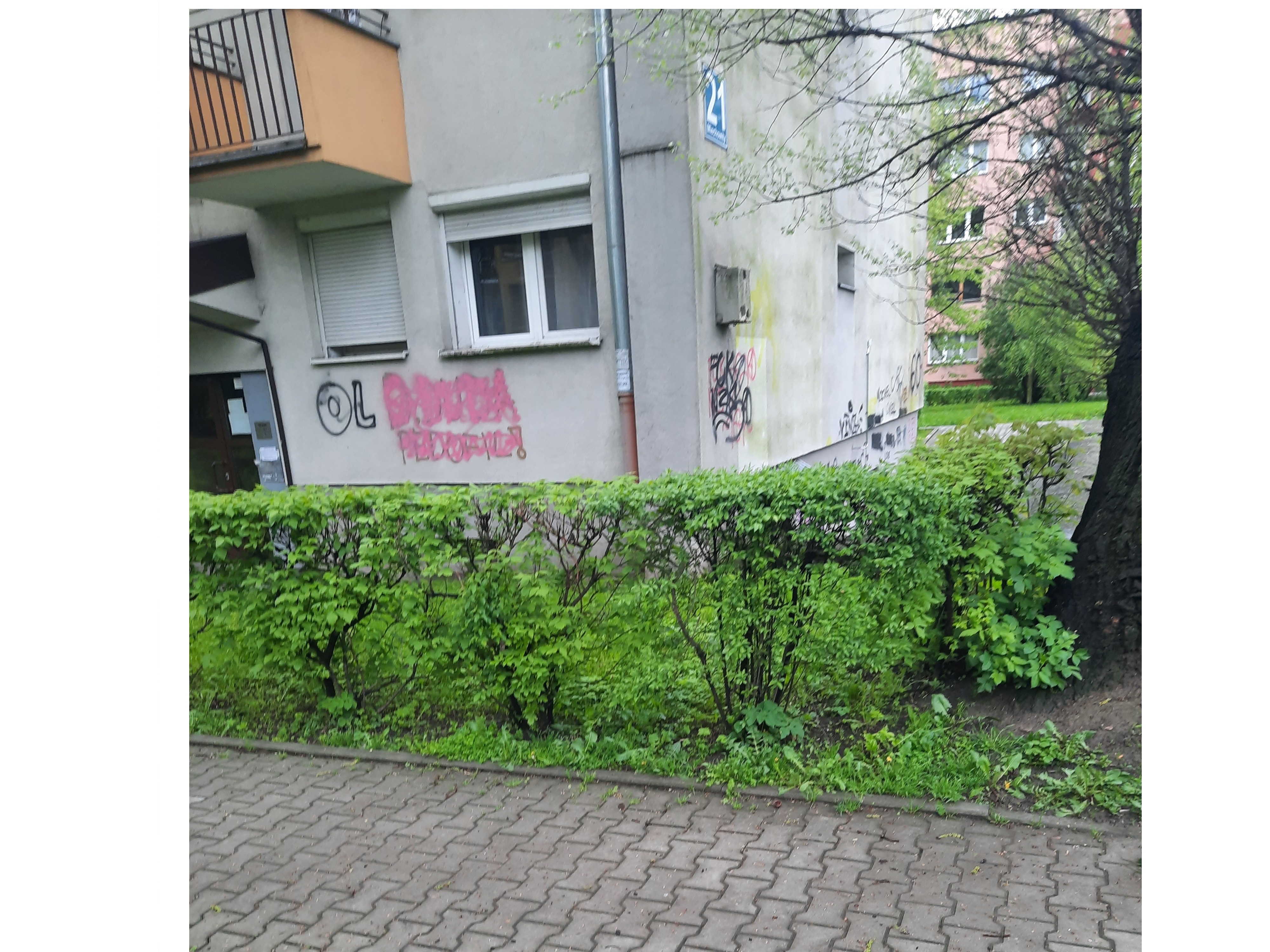Zdjęcie przed zamalowaniem