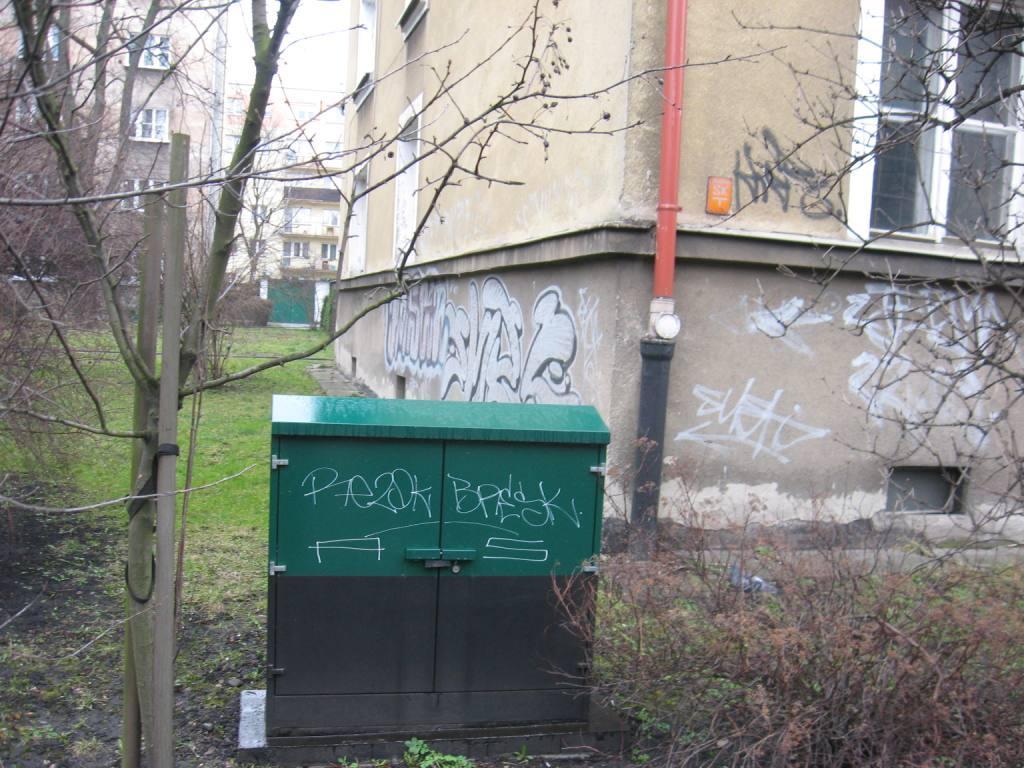 Zdjęcie przed zamalowaniem