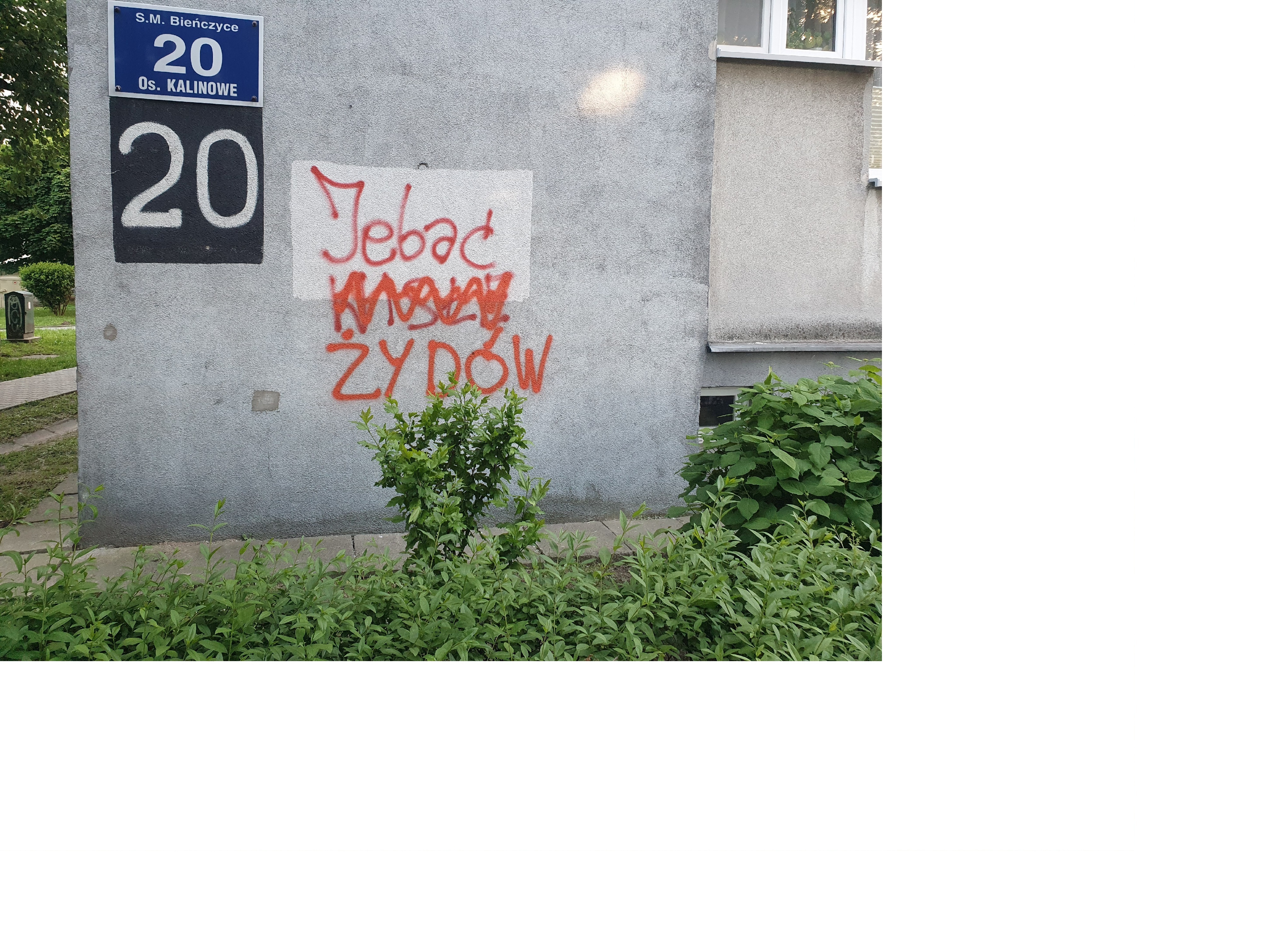 Zdjęcie przed zamalowaniem