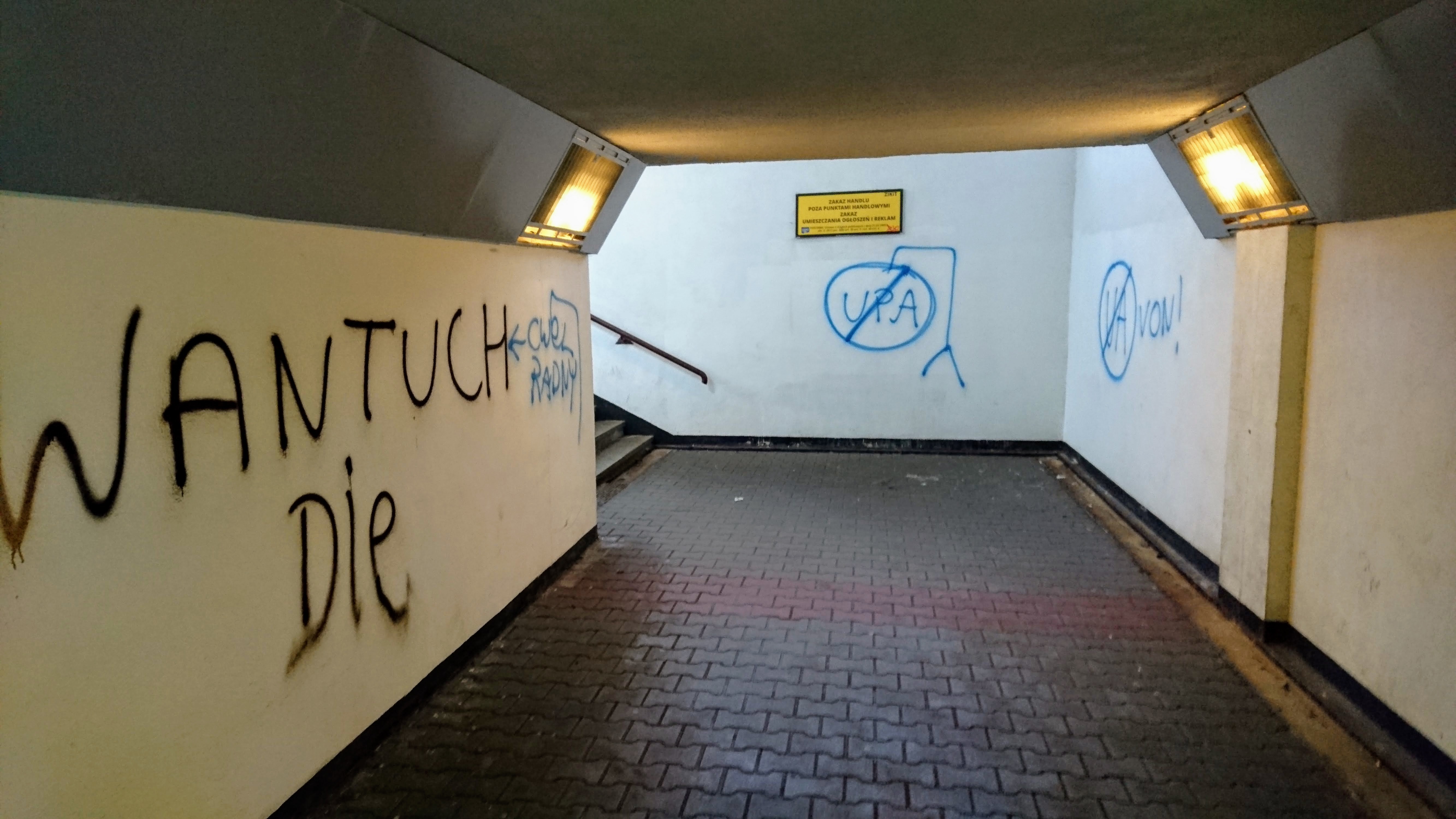 Zdjęcie przed zamalowaniem