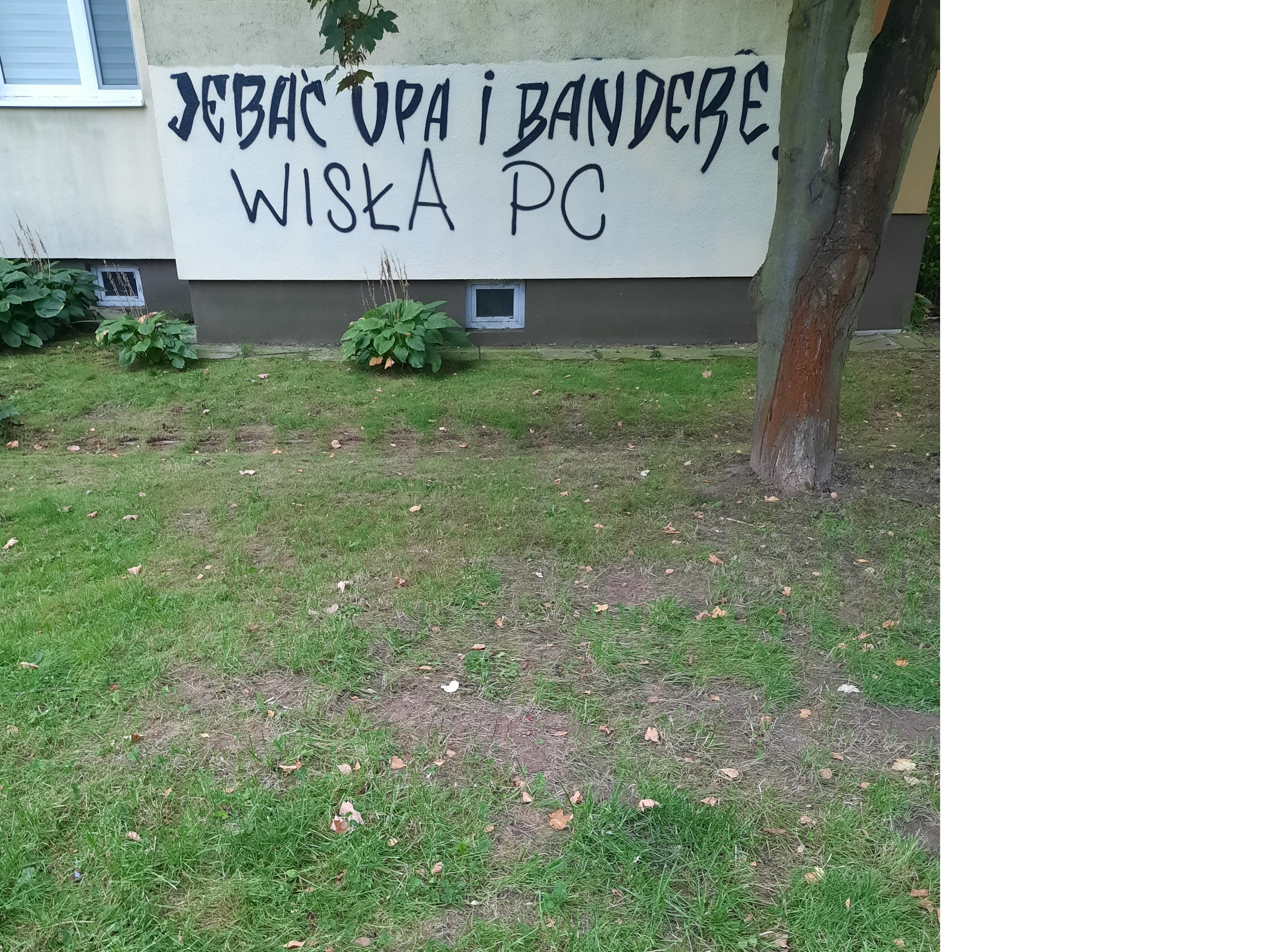 Zdjęcie przed zamalowaniem