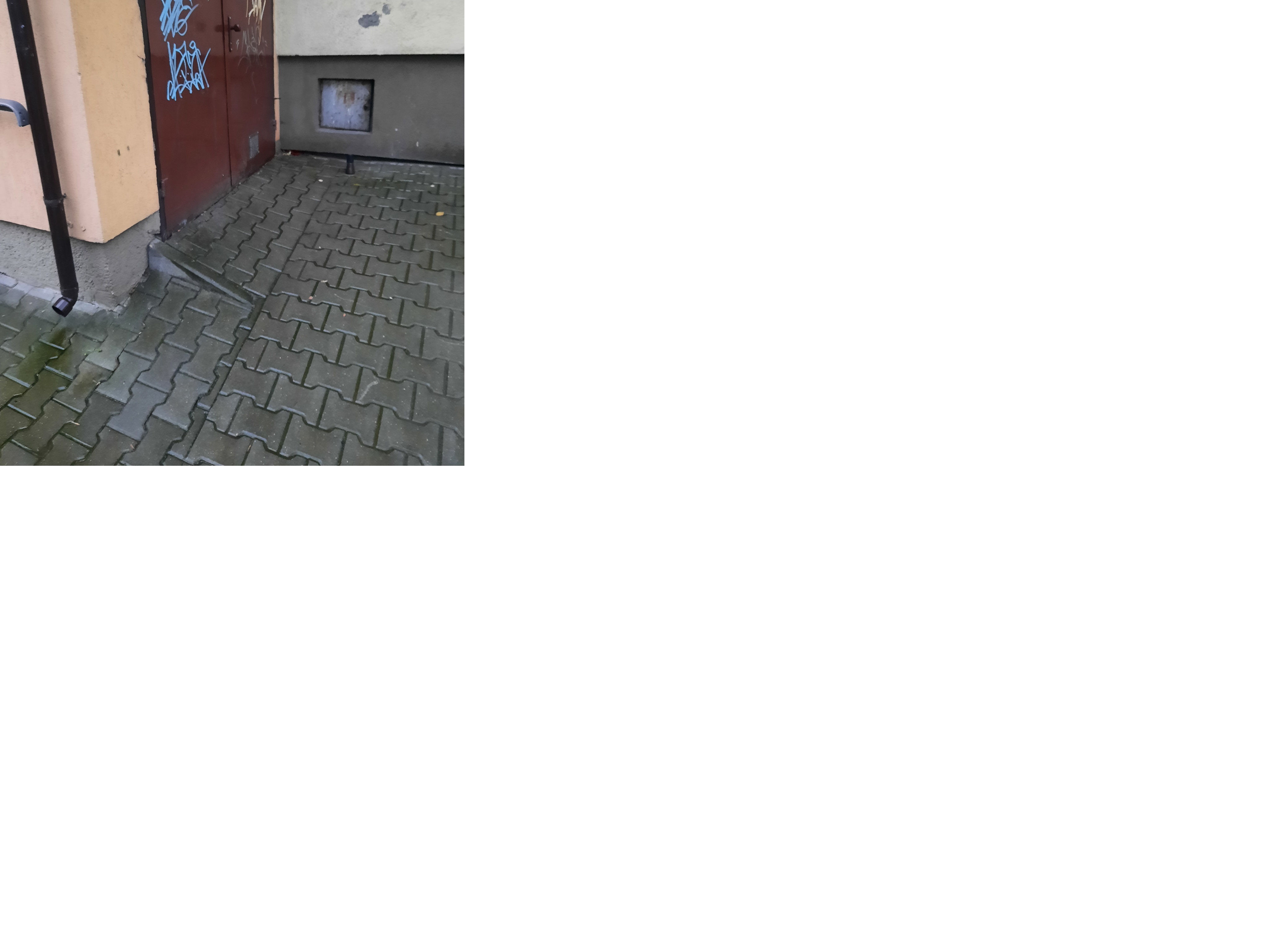 Zdjęcie przed zamalowaniem