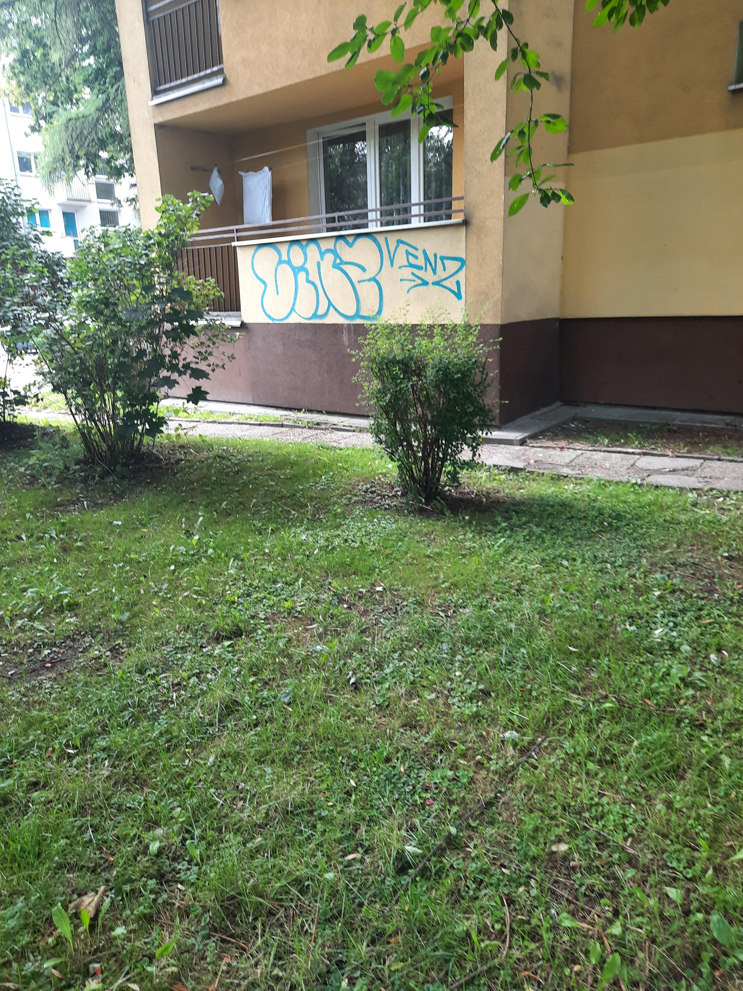 Zdjęcie przed zamalowaniem