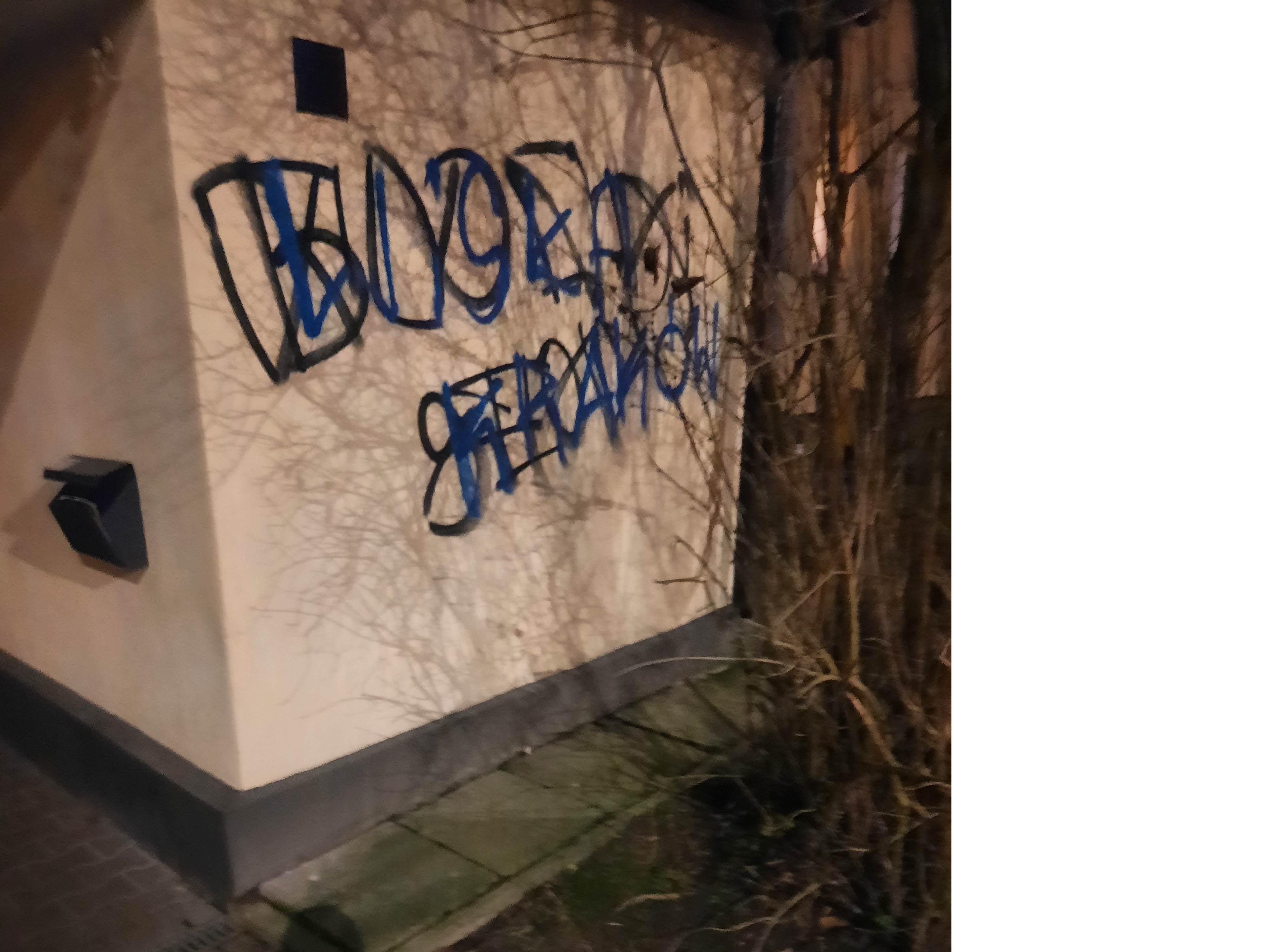 Zdjęcie przed zamalowaniem