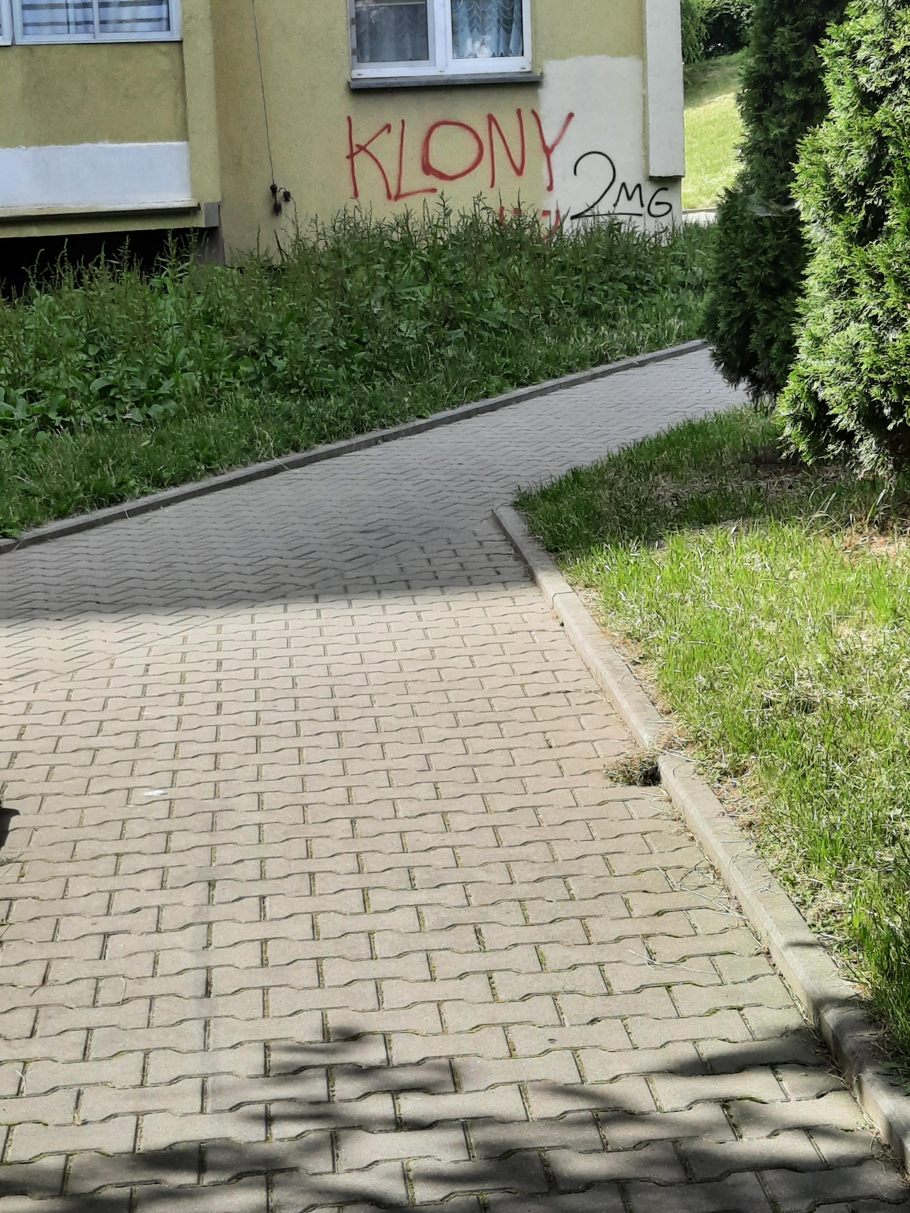 Zdjęcie przed zamalowaniem