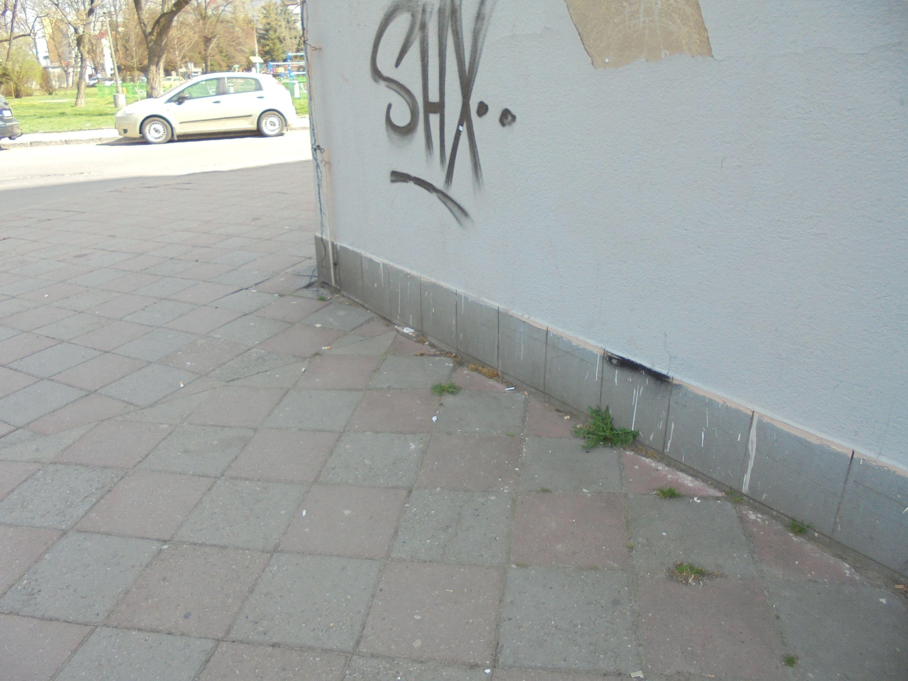 Zdjęcie przed zamalowaniem