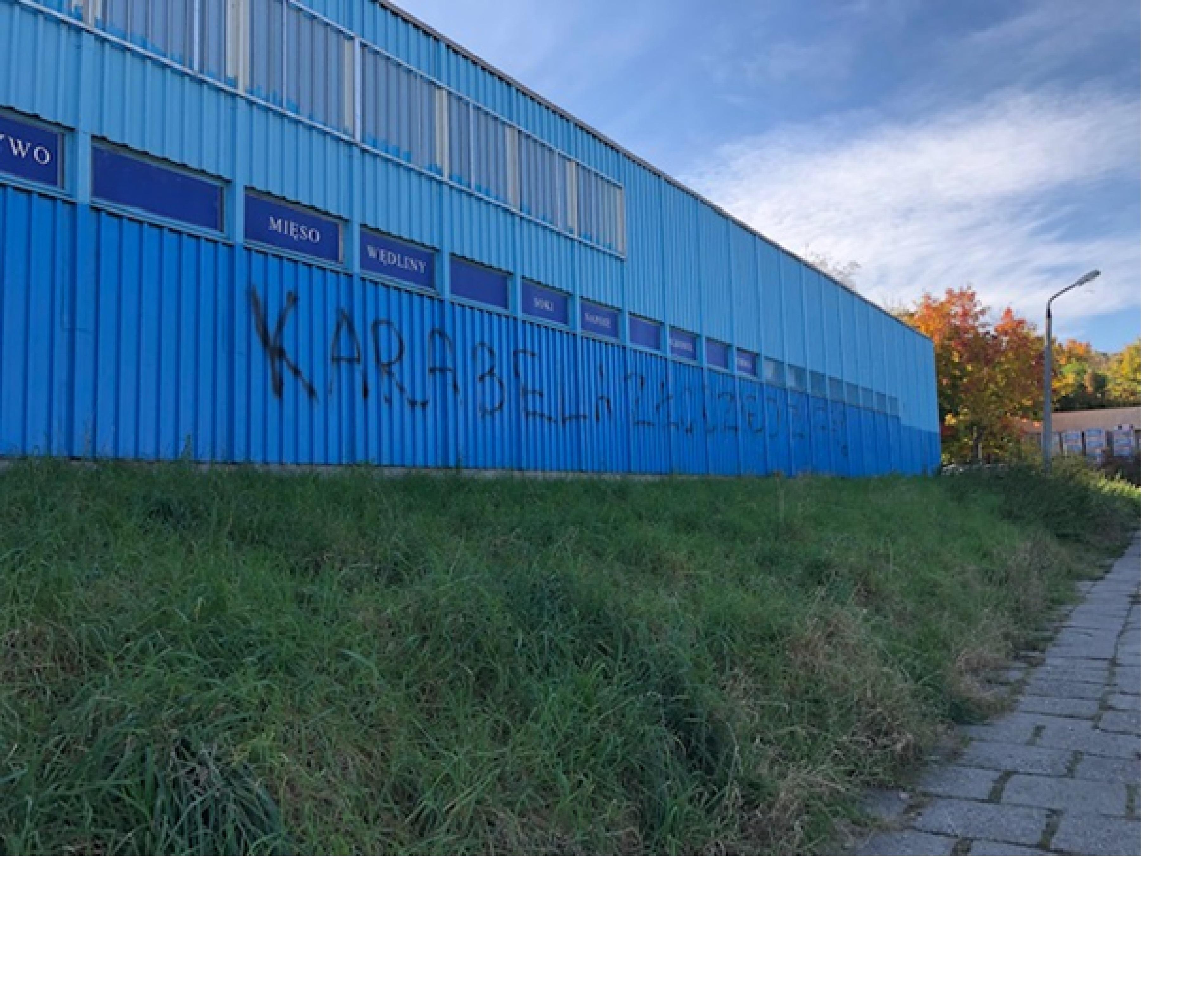 Zdjęcie przed zamalowaniem