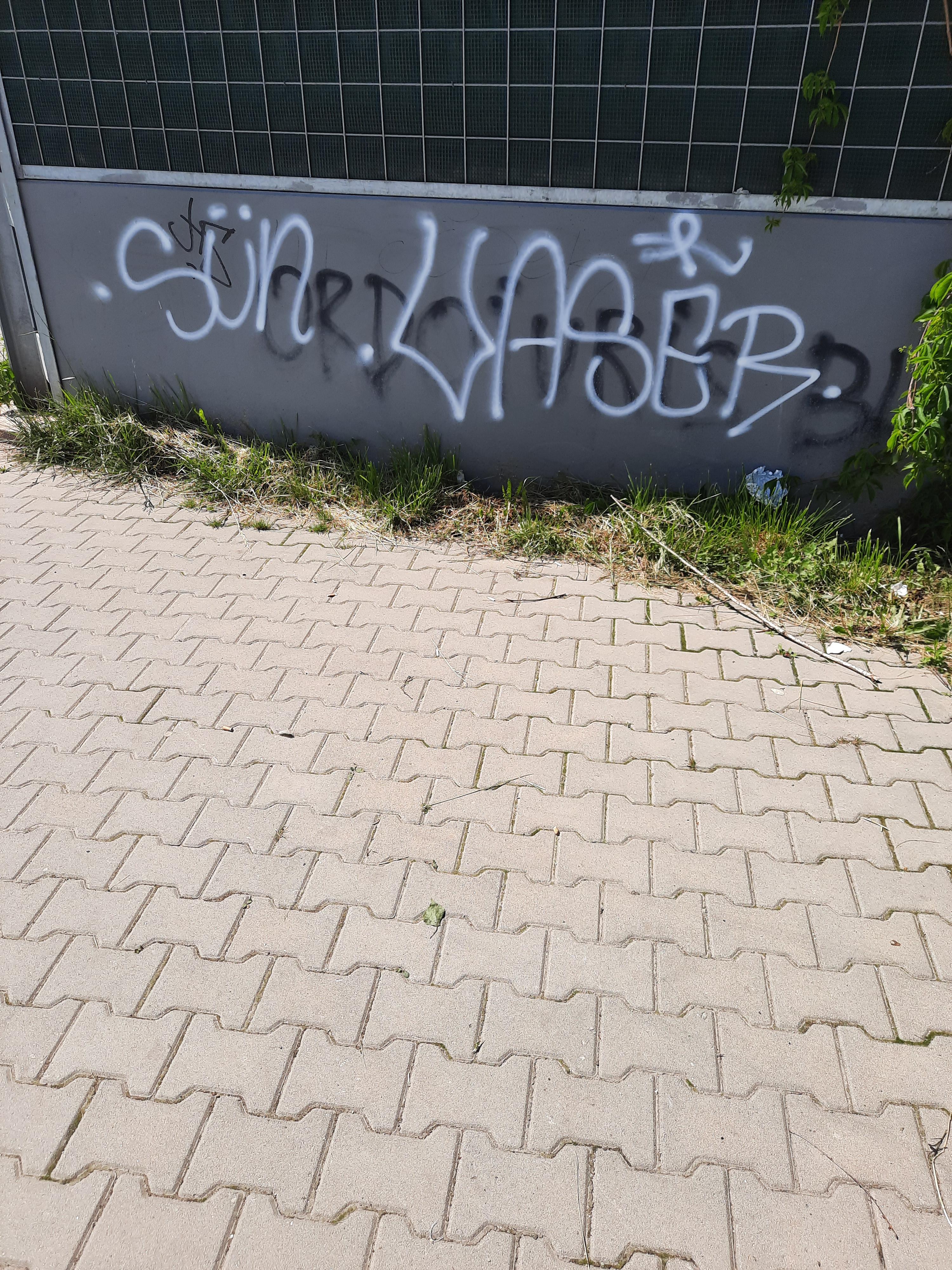 Zdjęcie przed zamalowaniem