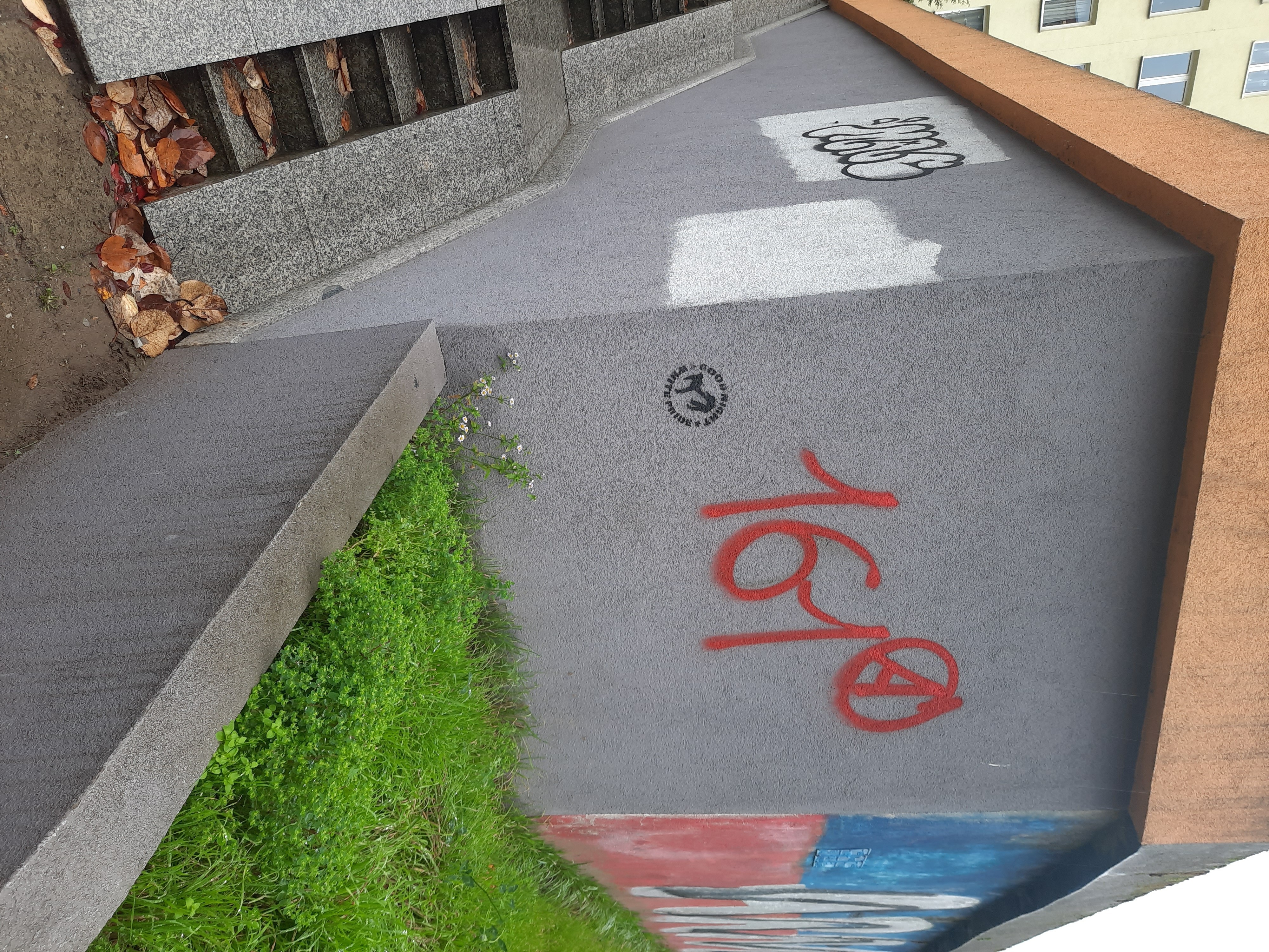 Zdjęcie przed zamalowaniem