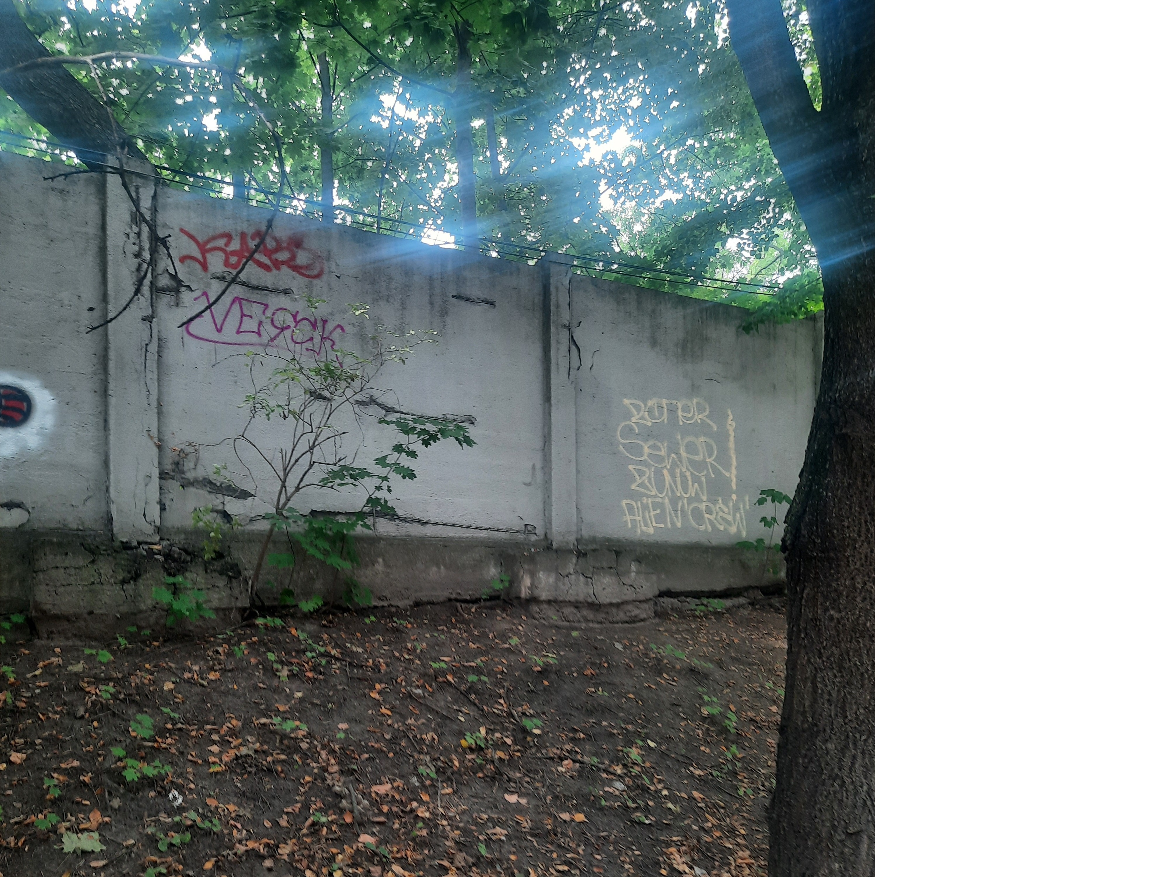 Zdjęcie przed zamalowaniem