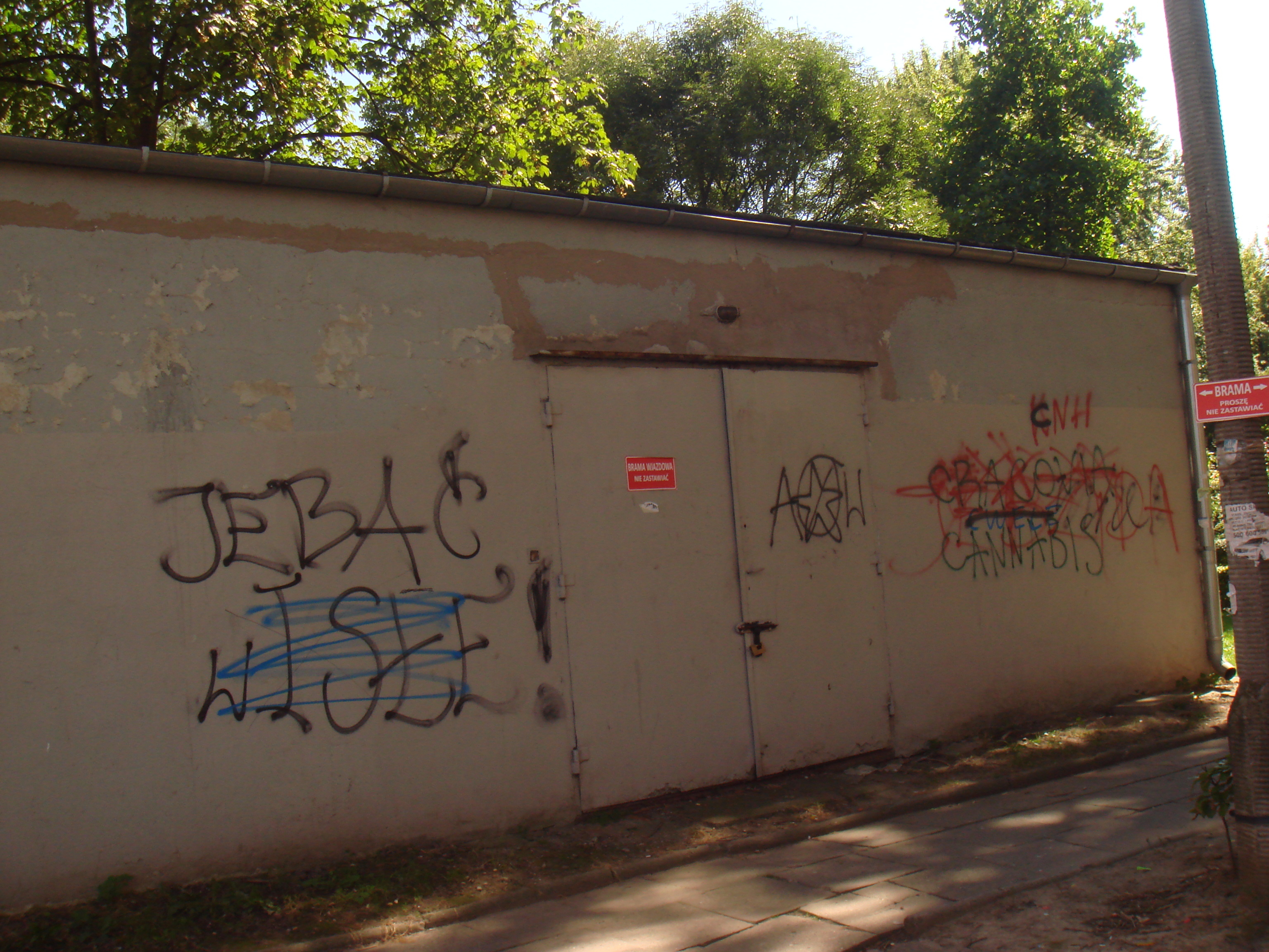 Zdjęcie przed zamalowaniem