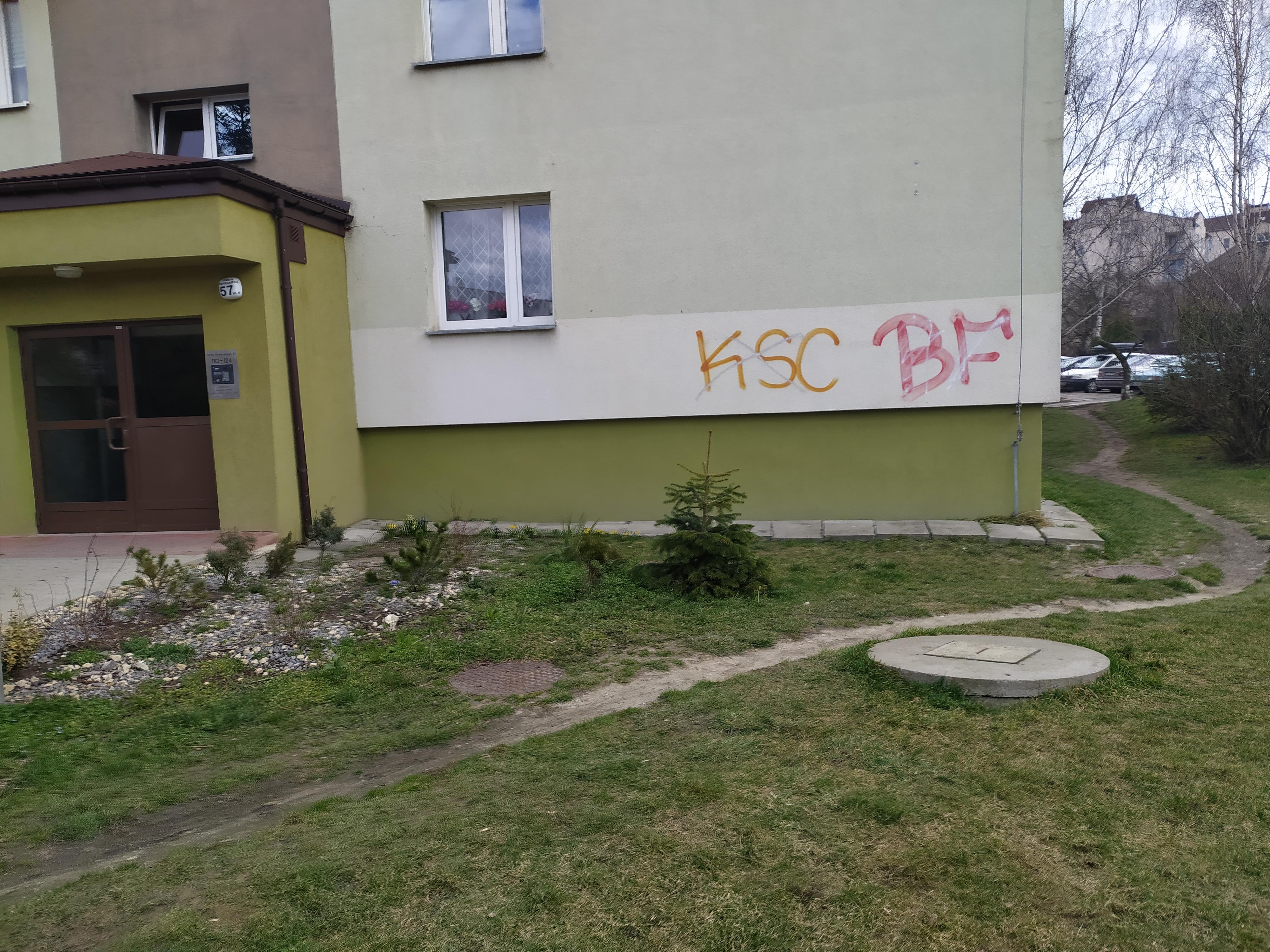 Zdjęcie przed zamalowaniem