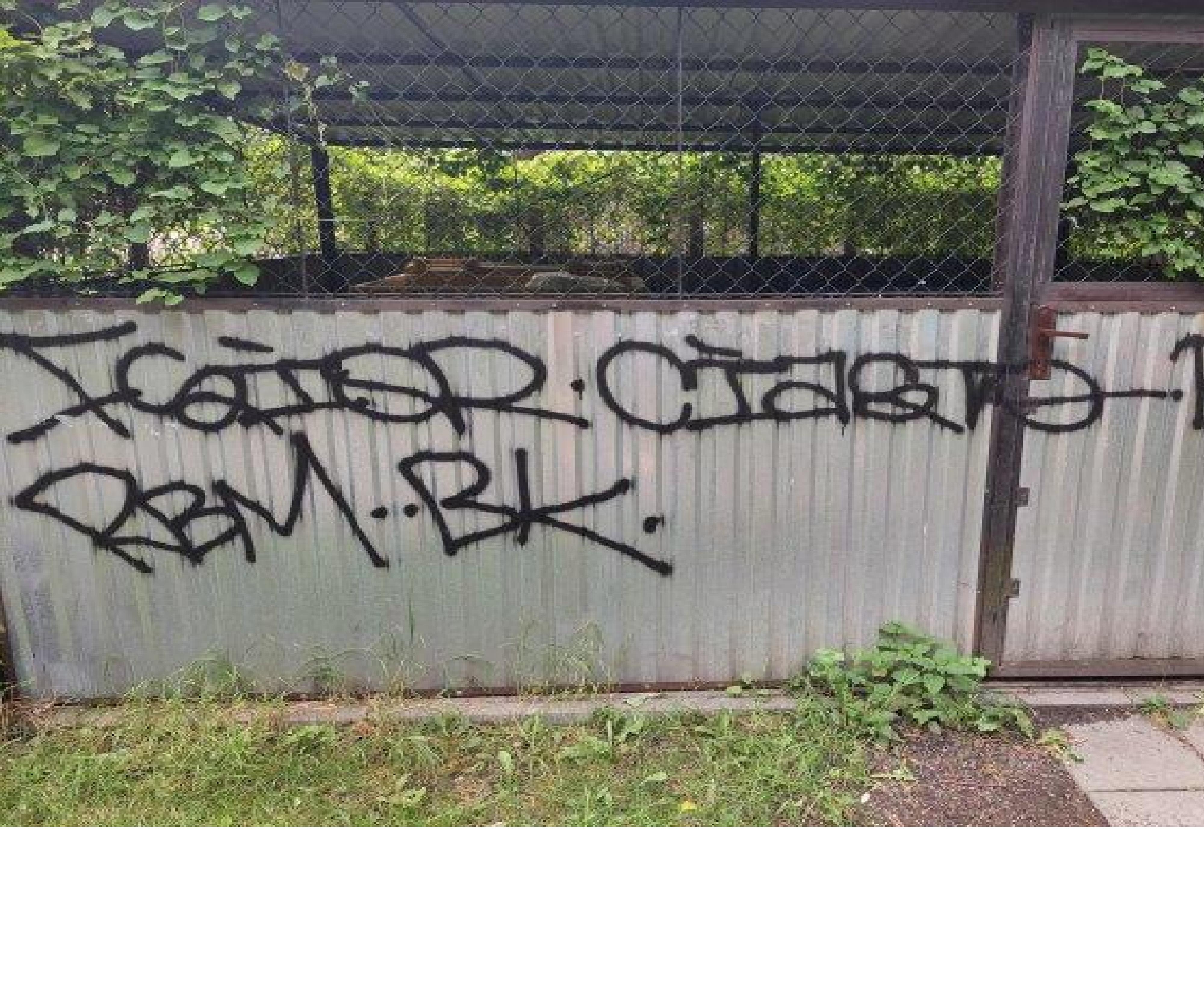 Zdjęcie przed zamalowaniem