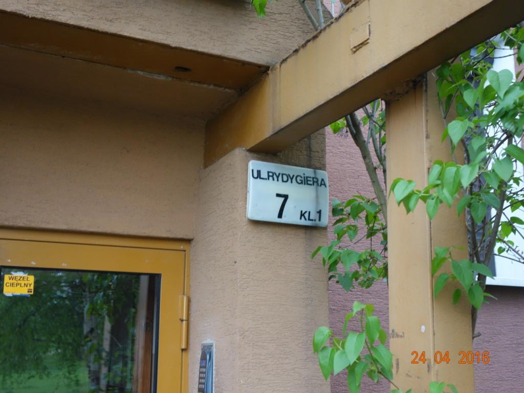 Zdjęcie przed zamalowaniem