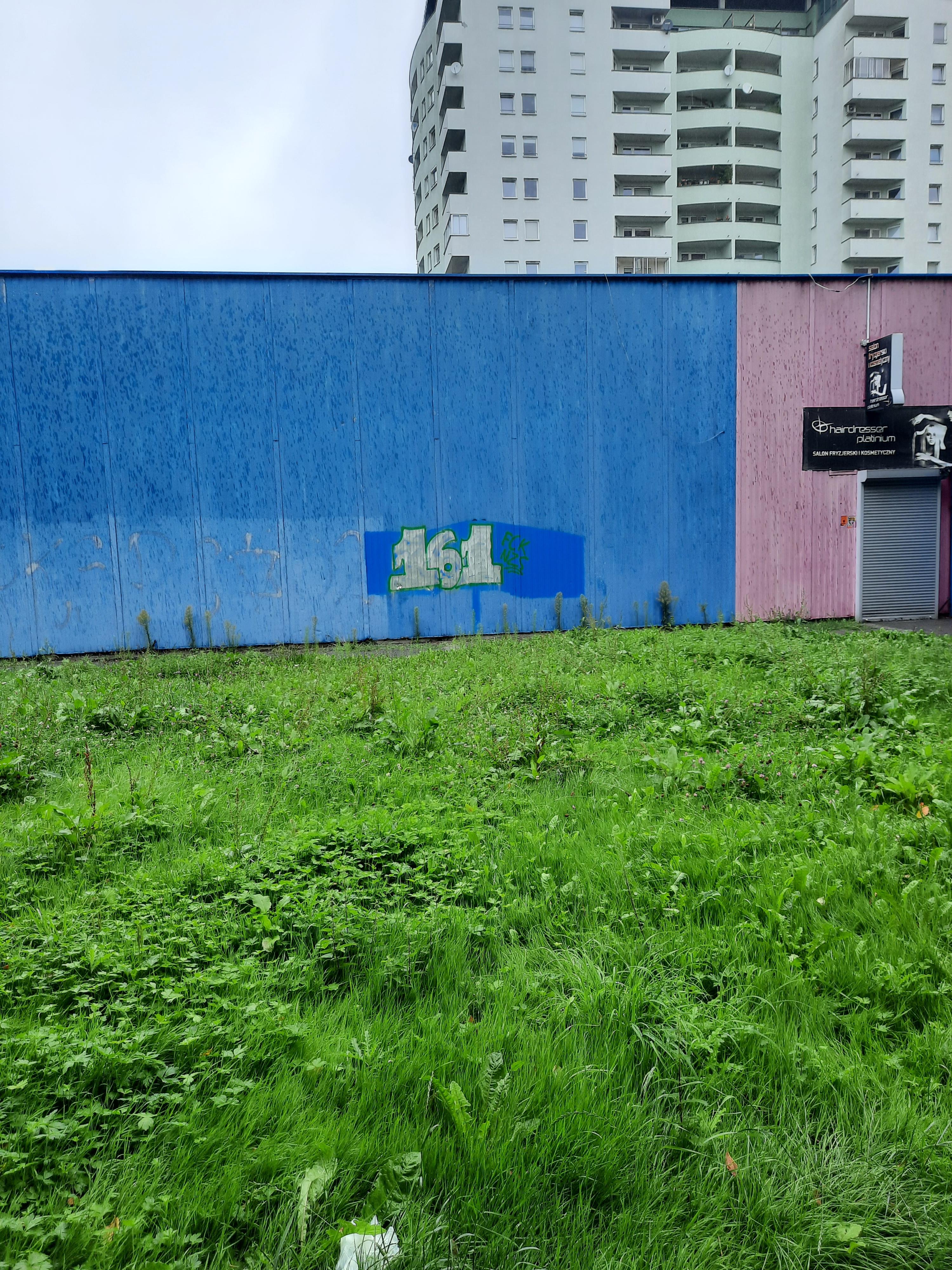 Zdjęcie przed zamalowaniem