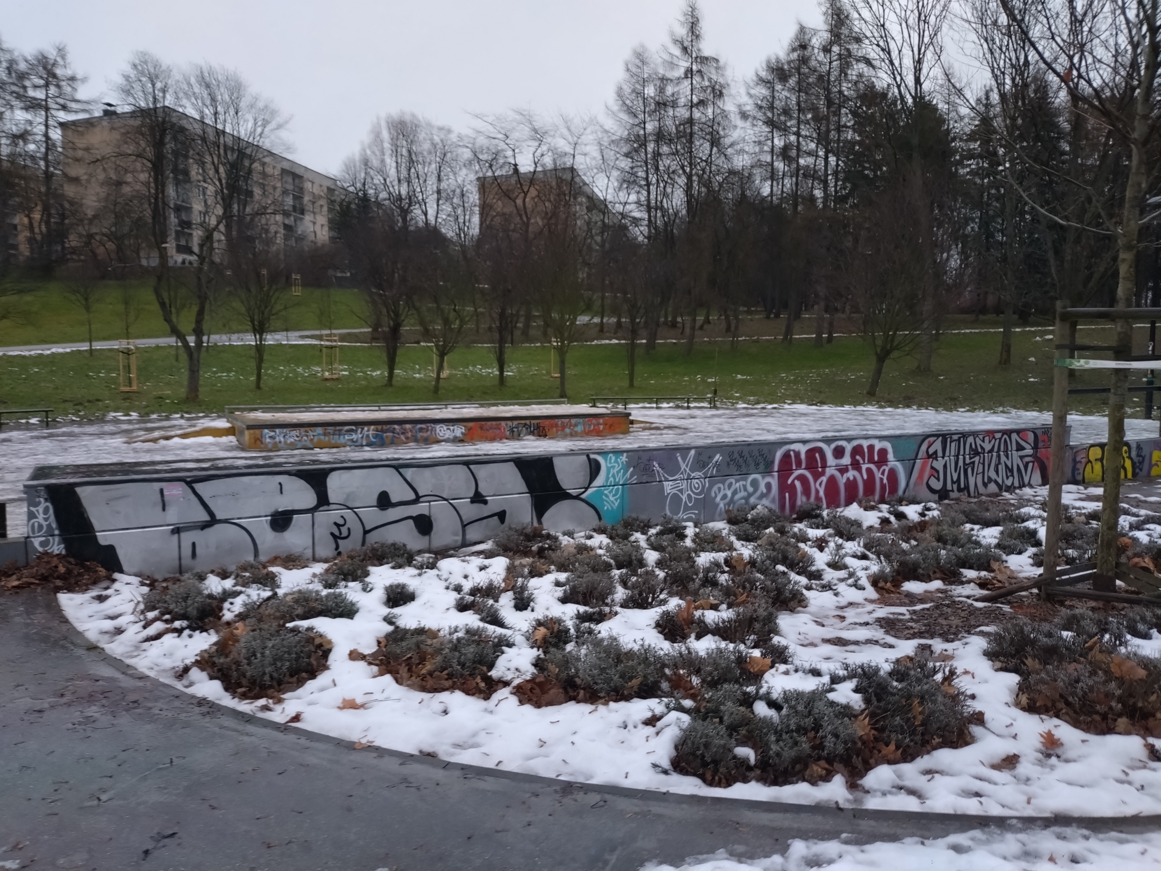 Zdjęcie przed zamalowaniem