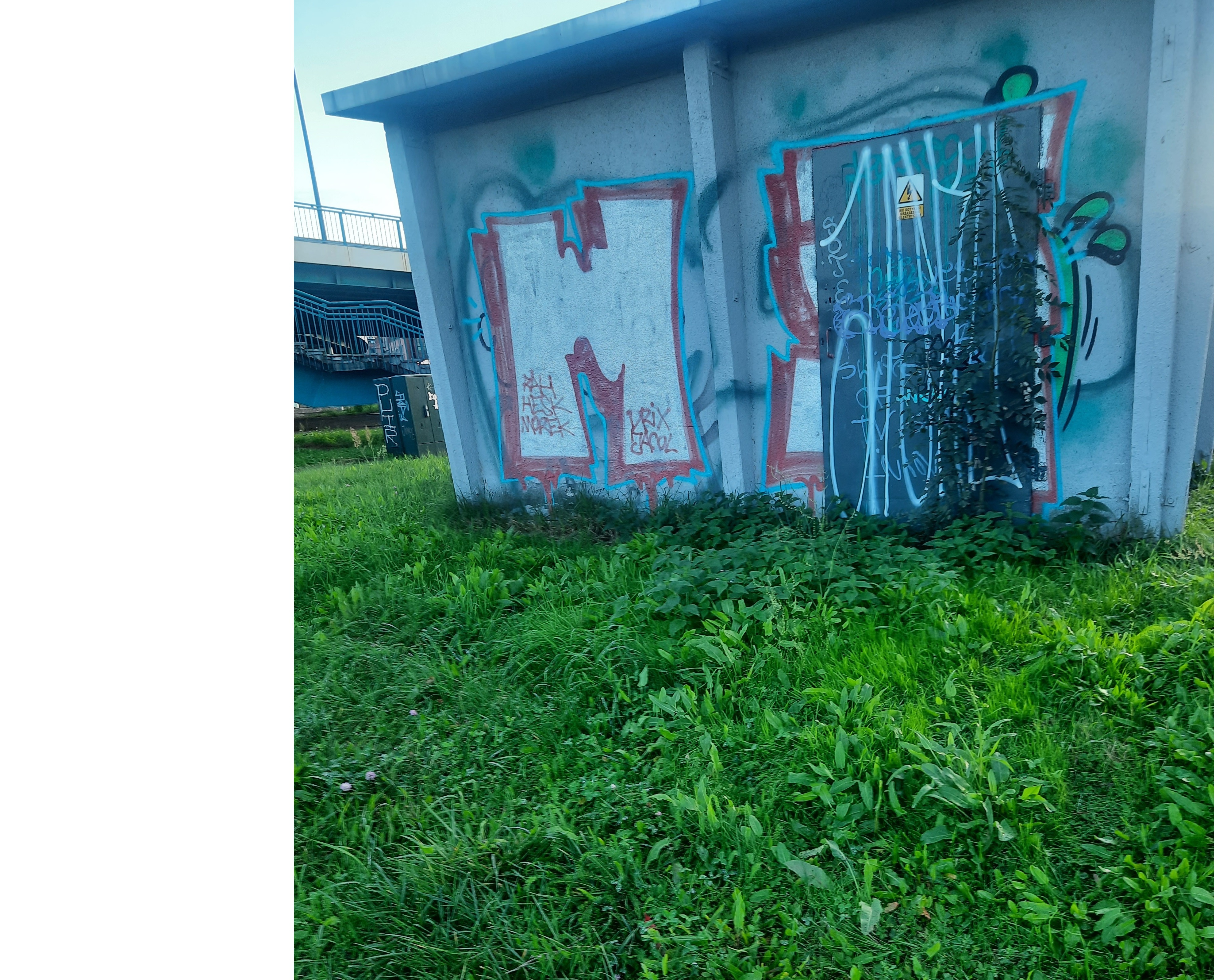 Zdjęcie przed zamalowaniem