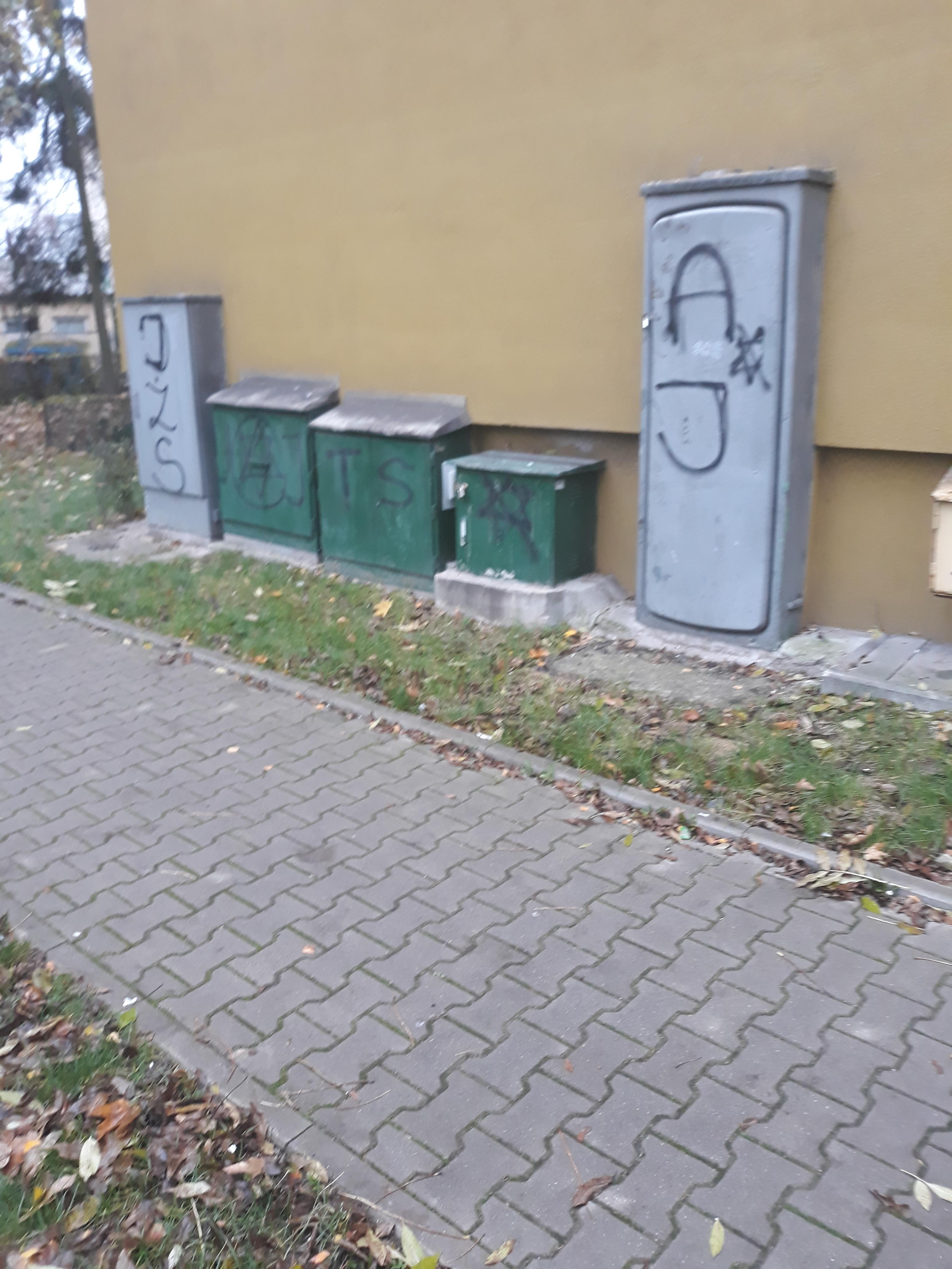 Zdjęcie przed zamalowaniem