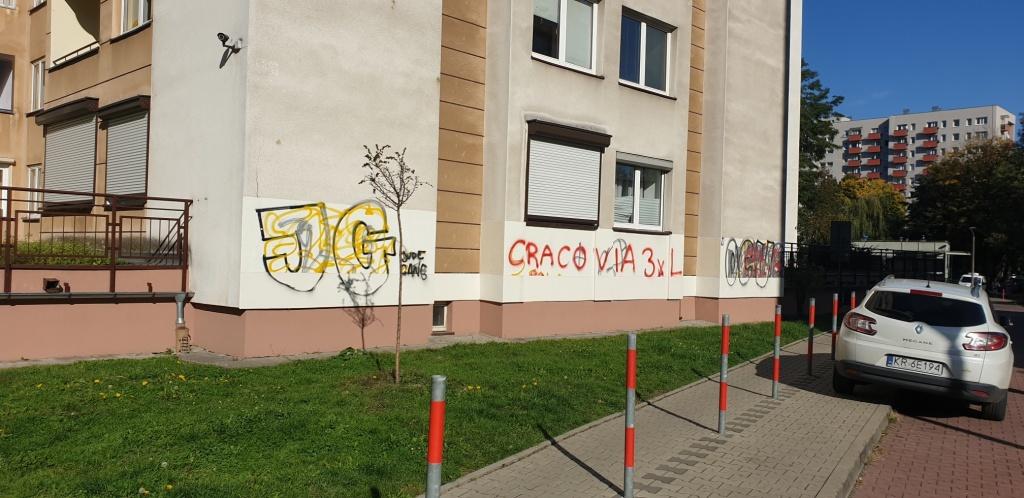 Zdjęcie przed zamalowaniem