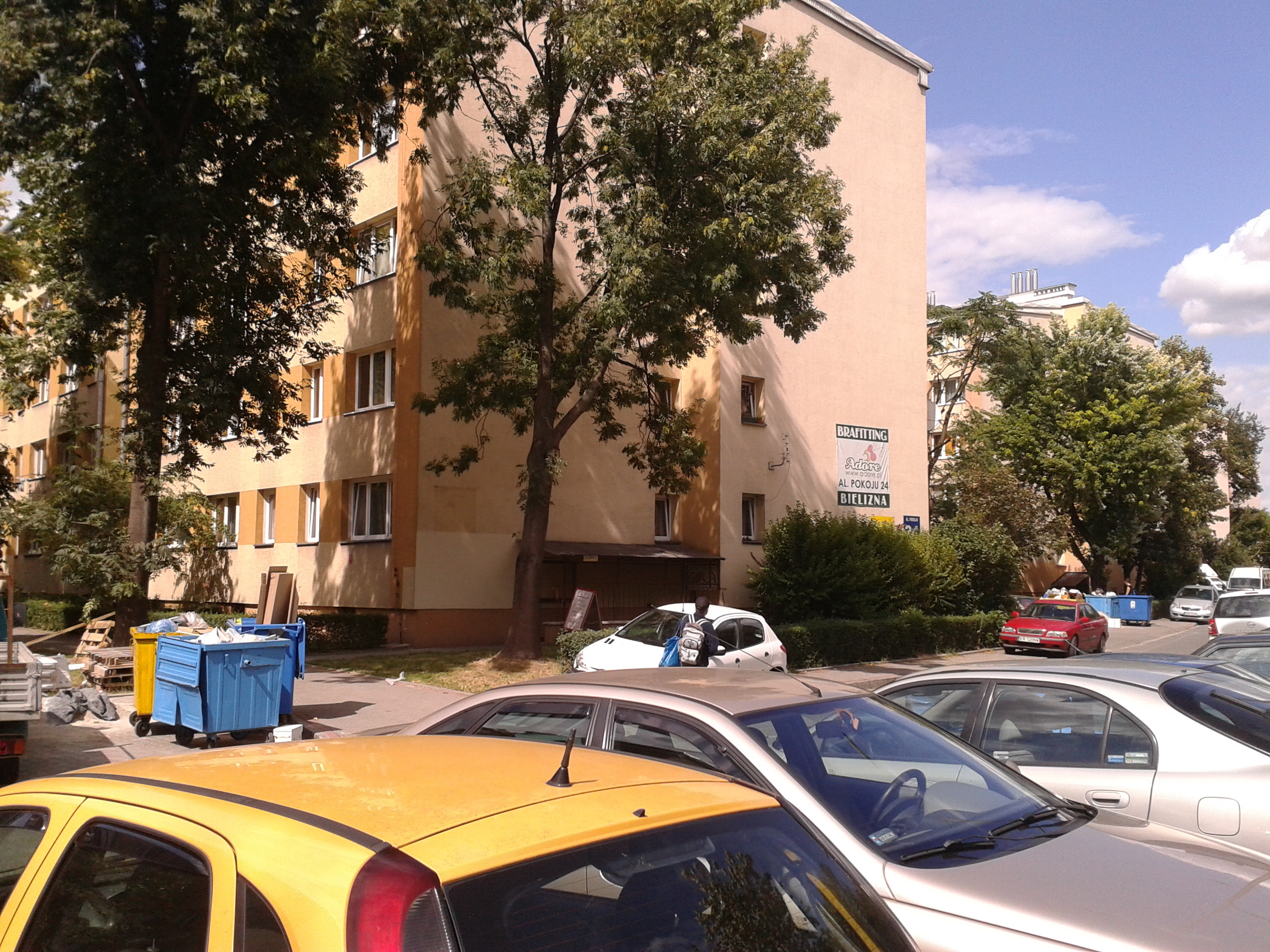 Zdjęcie przed zamalowaniem
